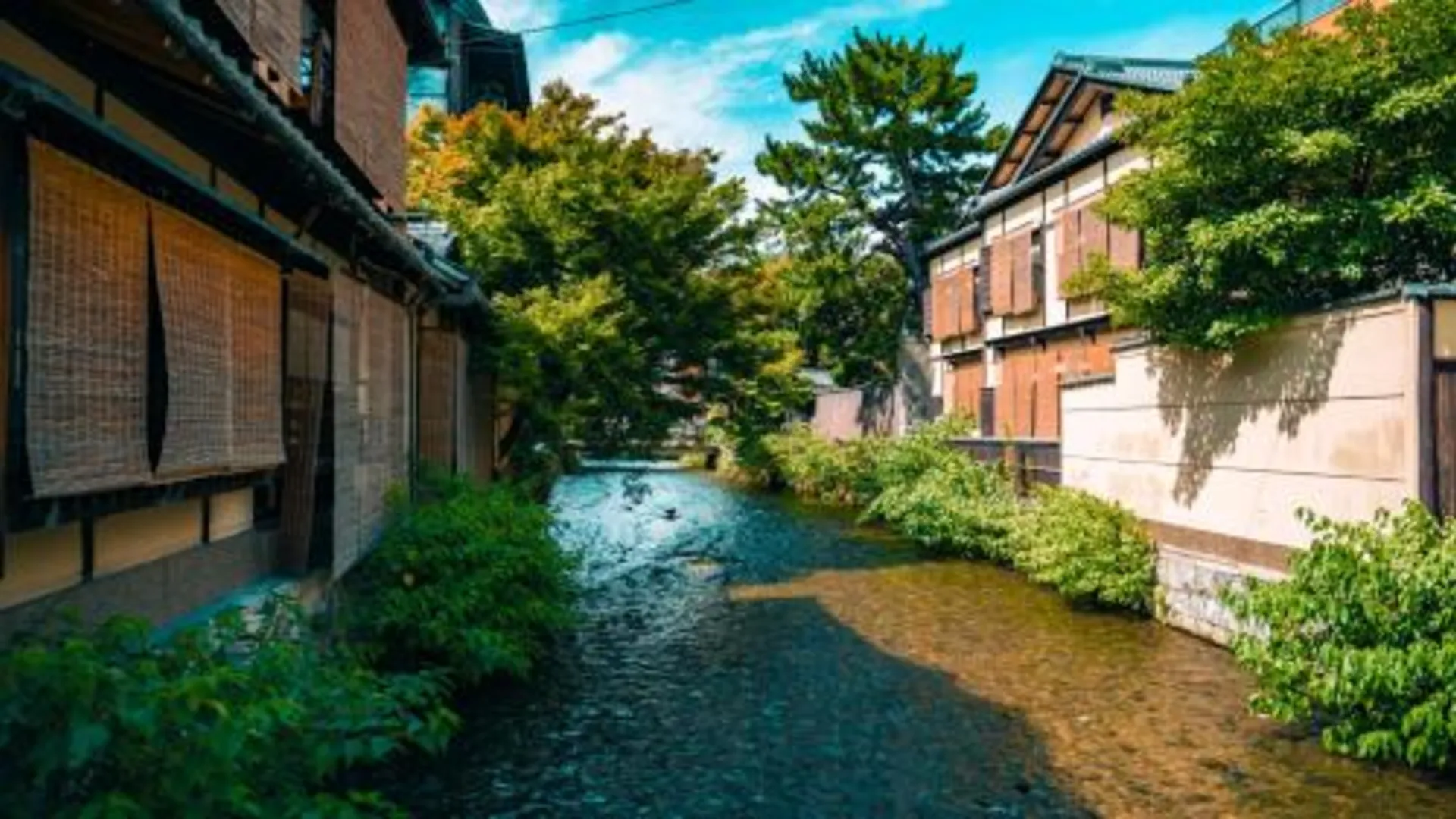 교토 Apartment Hotel MODISH Gion 4성급 게스트하우스 수영장