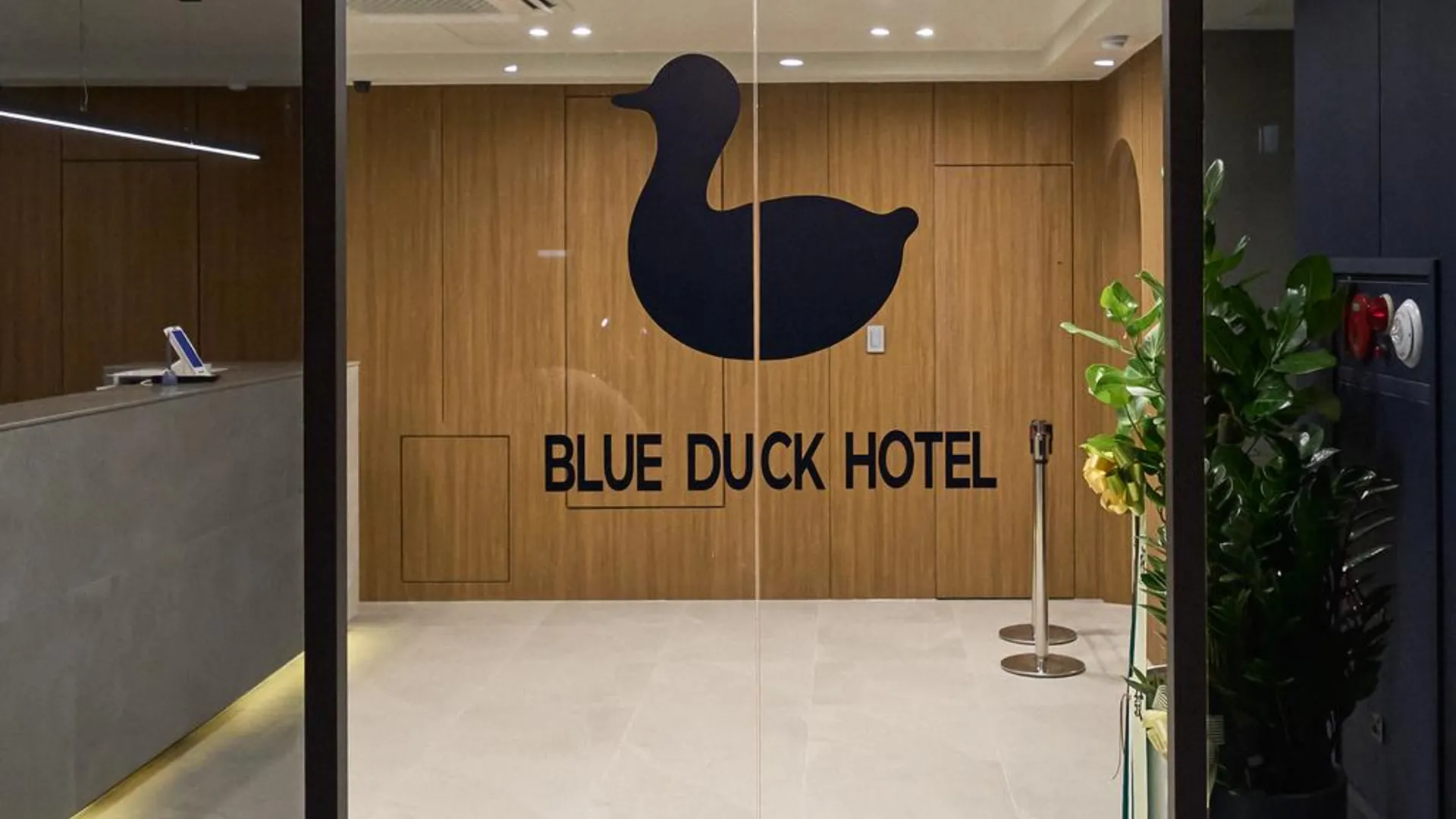 서울 종로 블루덕 호텔 호텔 외관