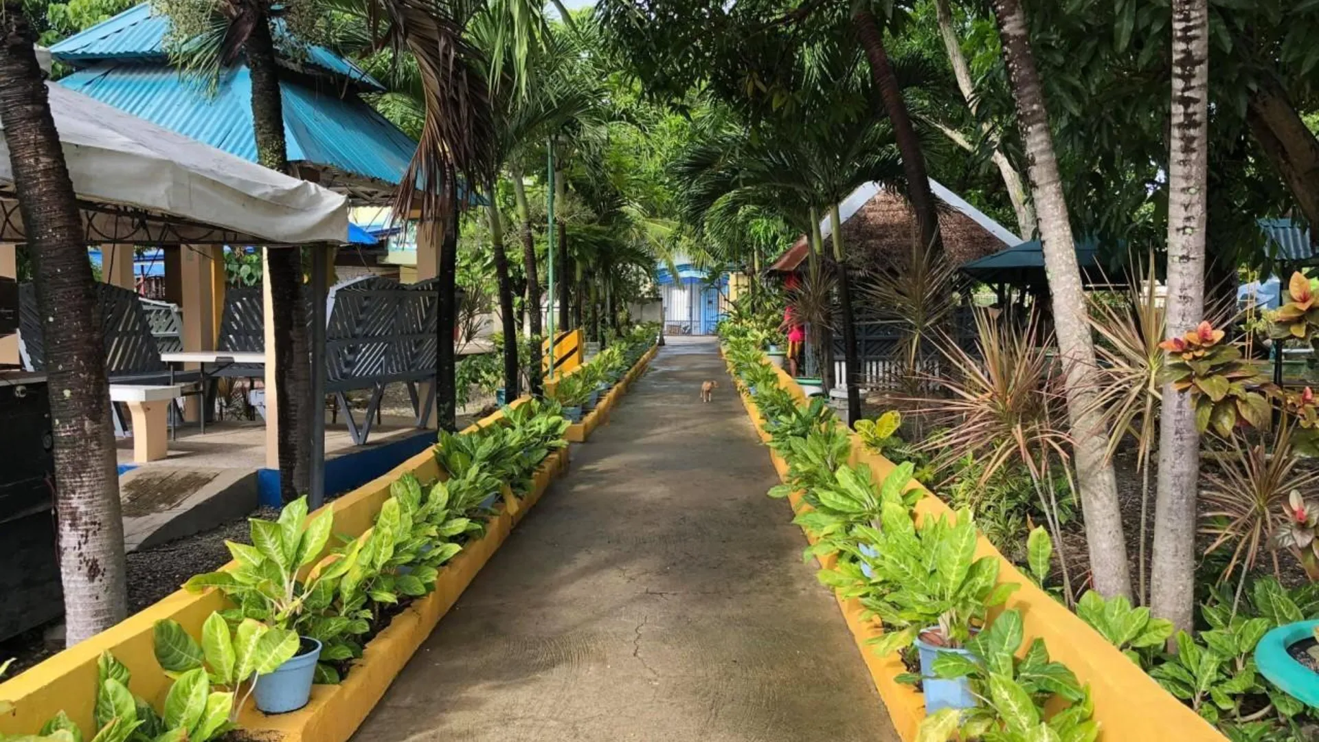 세부 레드도어즈 가이사노 그랜드 코르도바 근처 2성급 호텔 외관