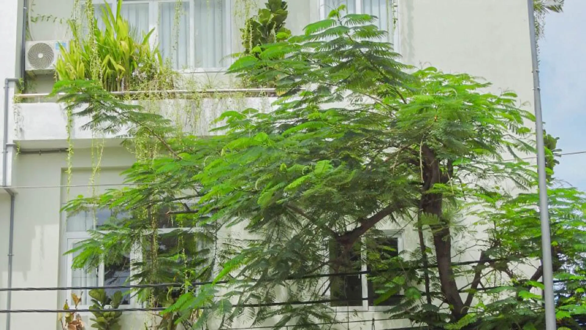 호치민 헤이데이 서비스드 아파트먼트 4성급 호텔 수영장