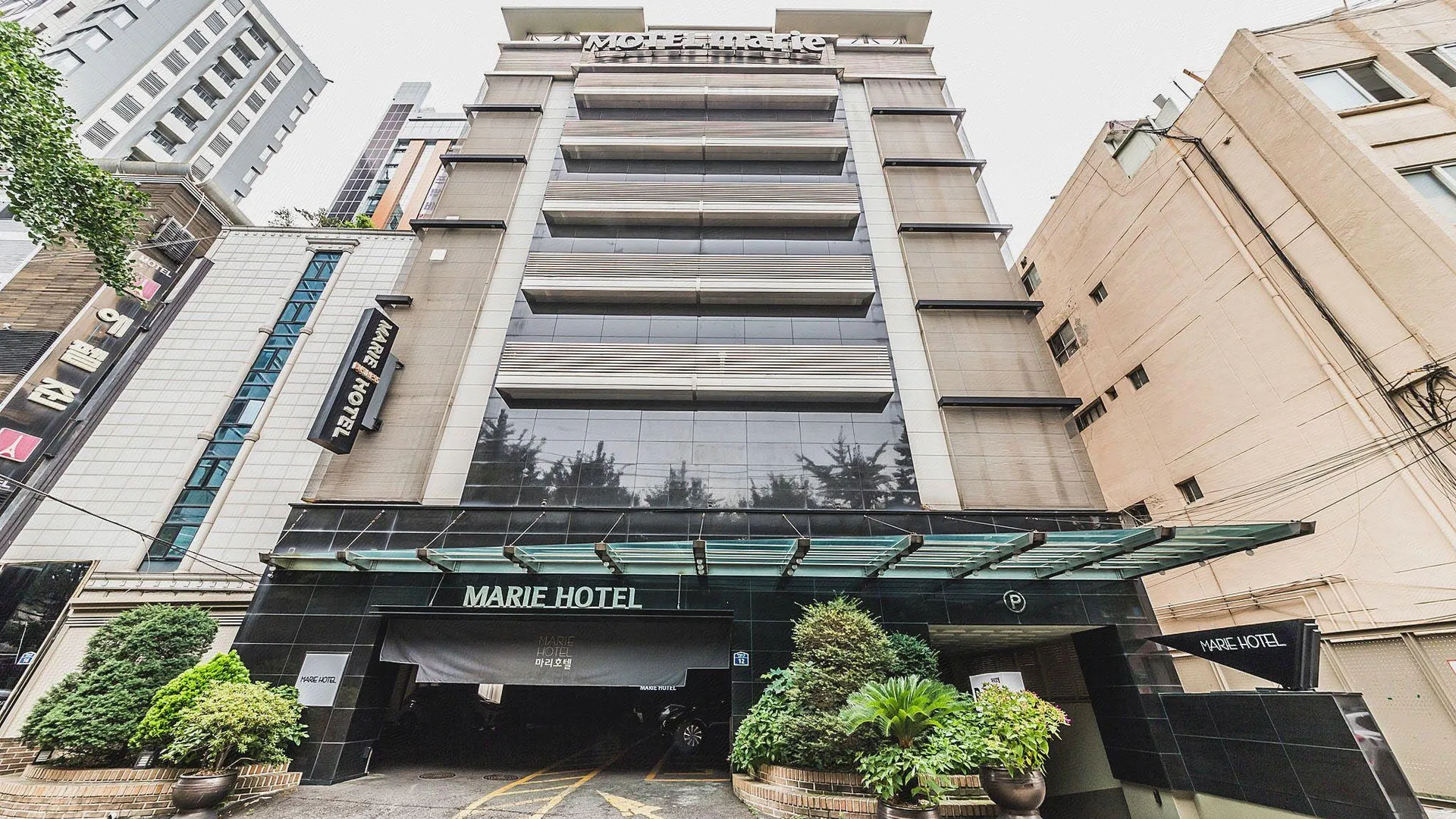 서울 마리 호텔 3성급 호텔 로비