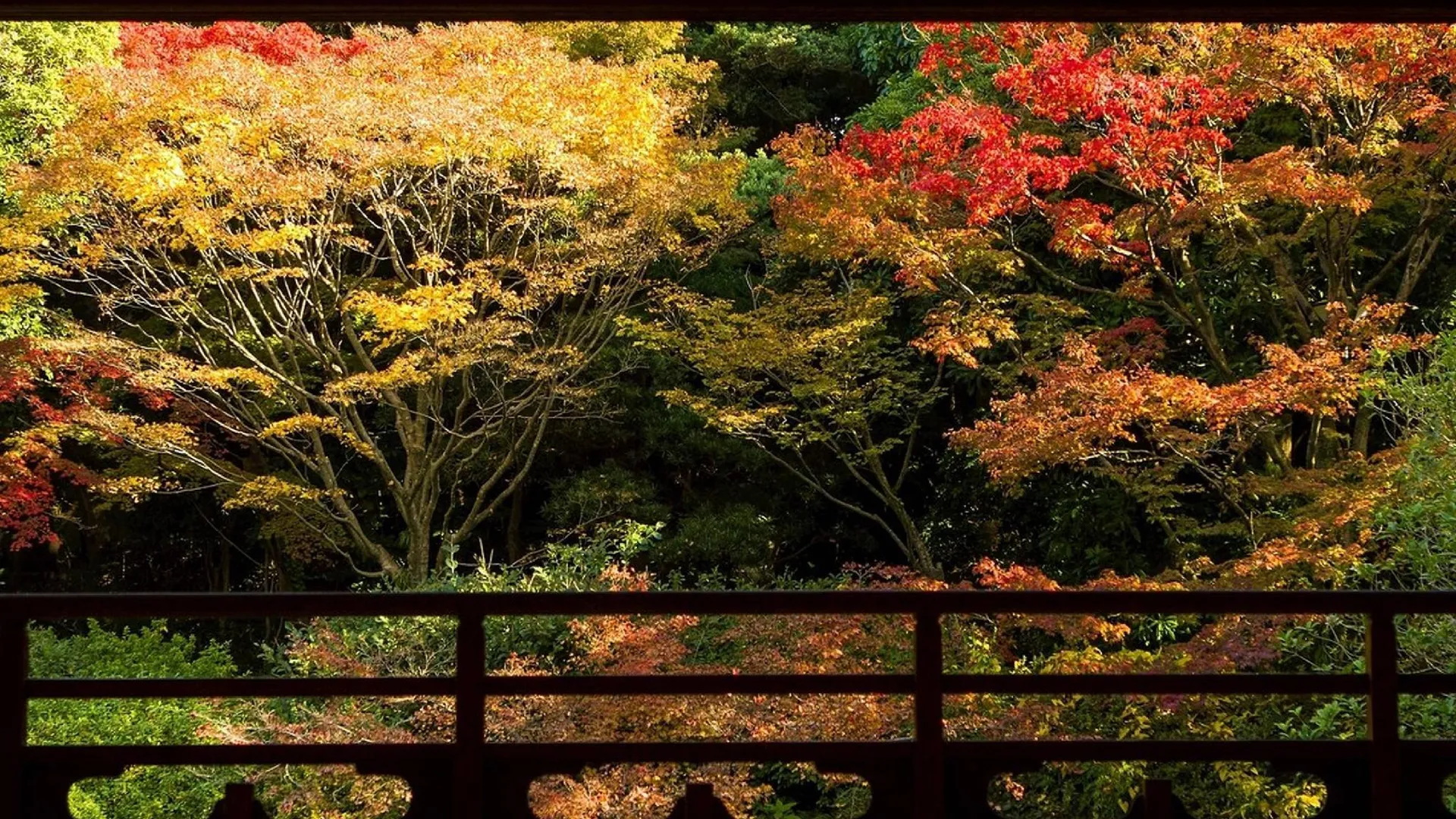 후쿠오카 APA Hotel Hakataeki Chikushiguchi 3성급 호텔 부대시설