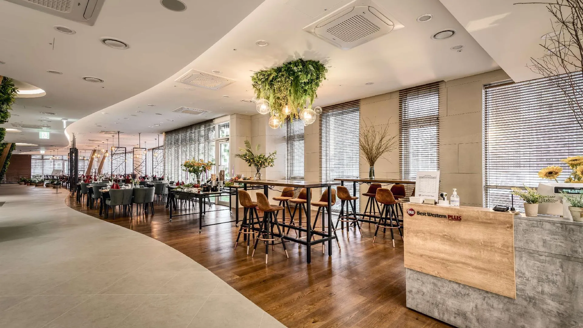 세종시 베스트웨스턴 플러스 호텔 세종 4성급 호텔 스위트룸