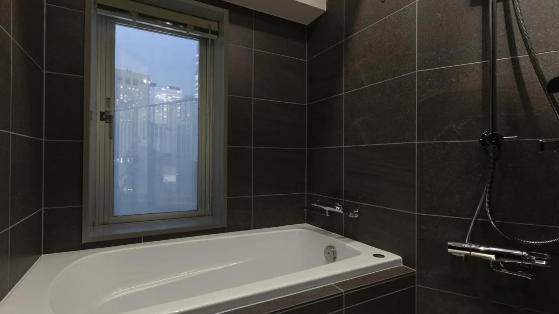 도쿄 / 동경 토큐 스테이 니시-신주쿠 3성급 호텔 부대시설