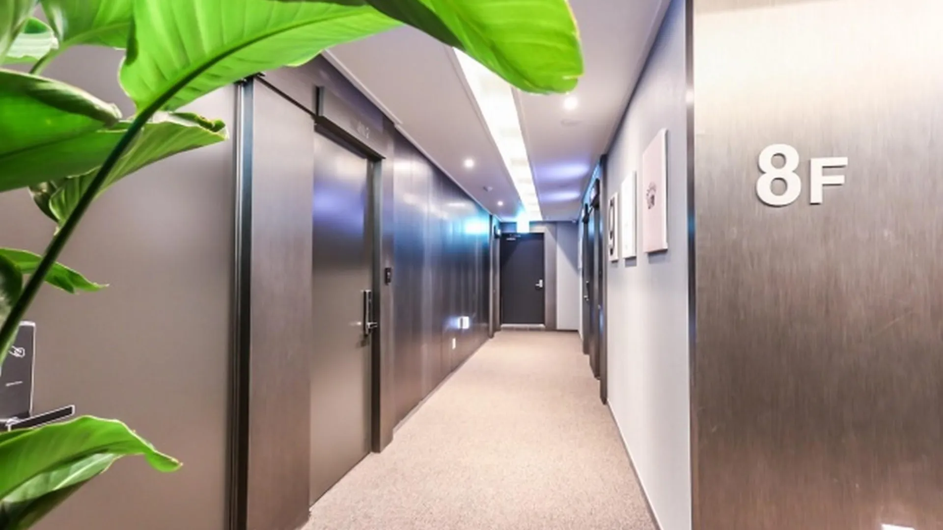 서울 호텔 월 2성급 호텔 전망