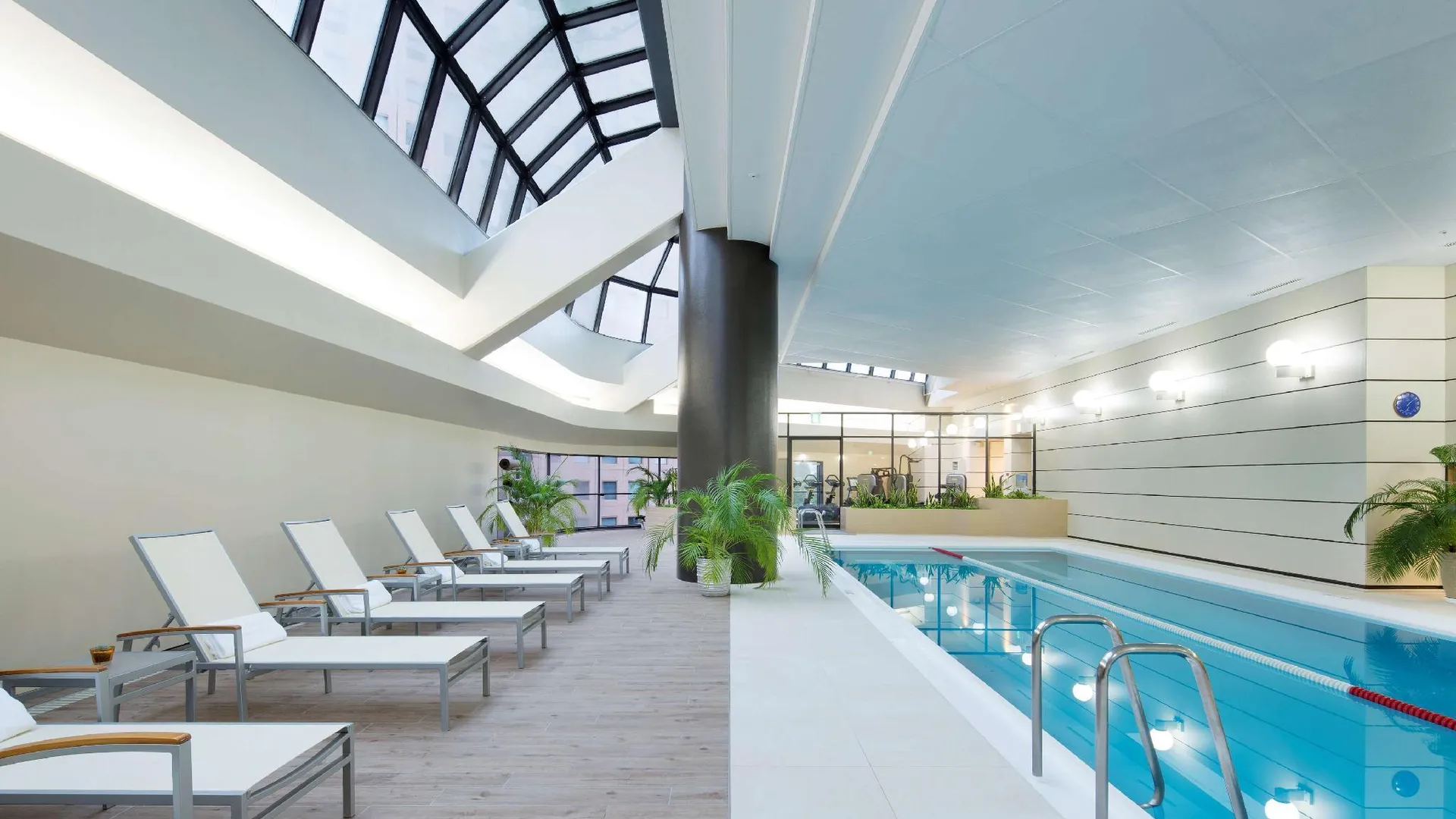 도쿄 / 동경 힐튼 도쿄 5성급 호텔 수영장