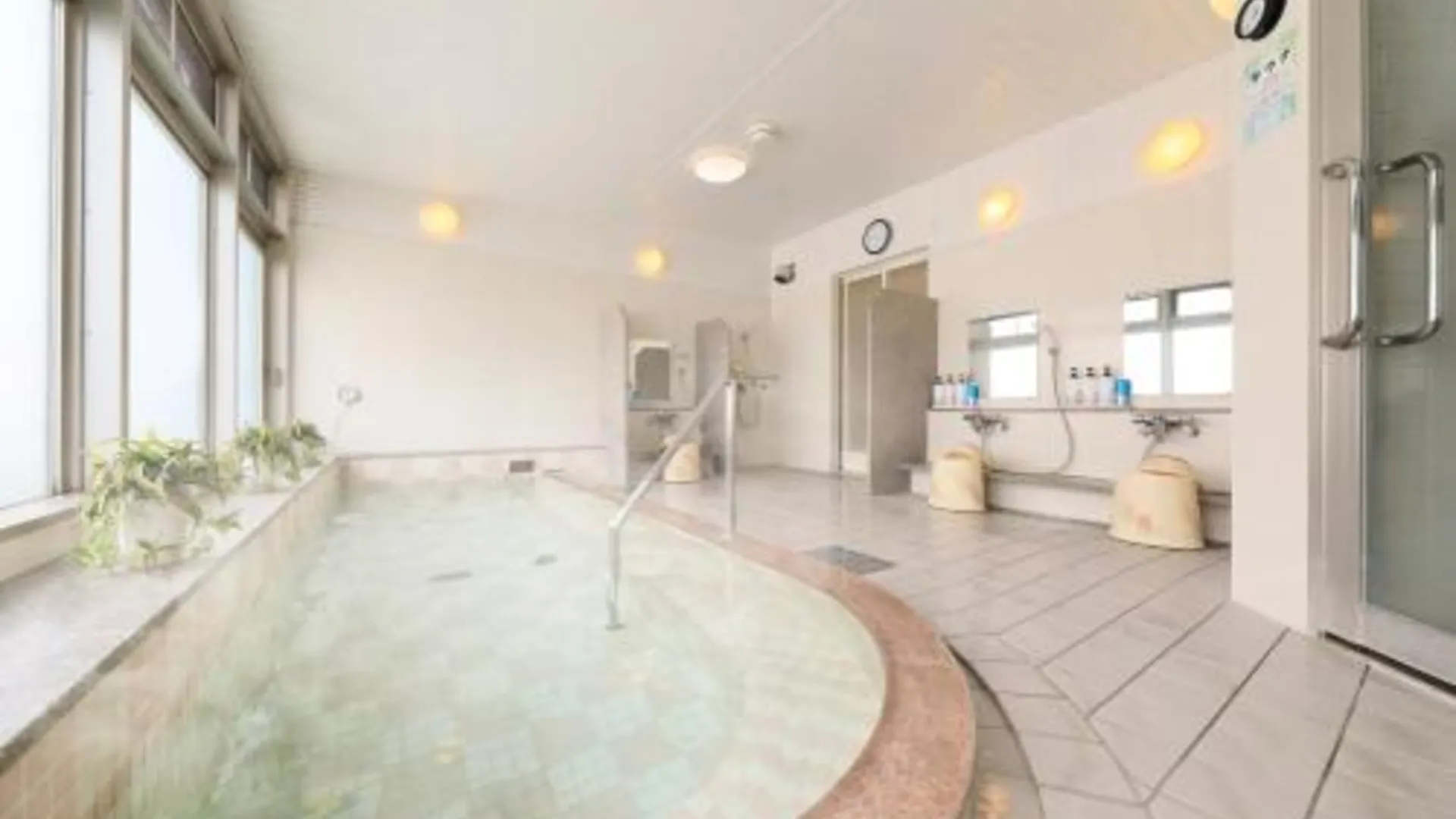 도쿄 / 동경 호텔 파미 인 킨시초 3성급 호텔 수영장