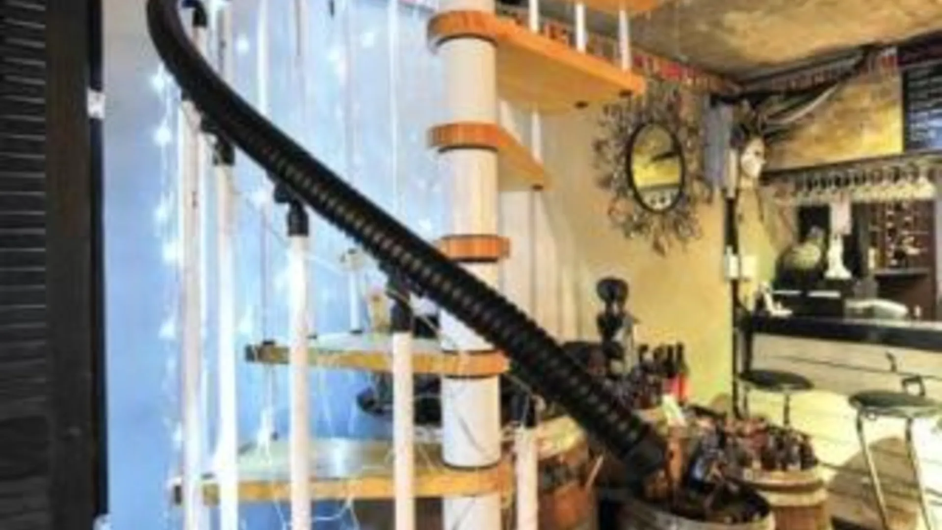 가평 자라섬 게스트하우스 호텔 부대시설