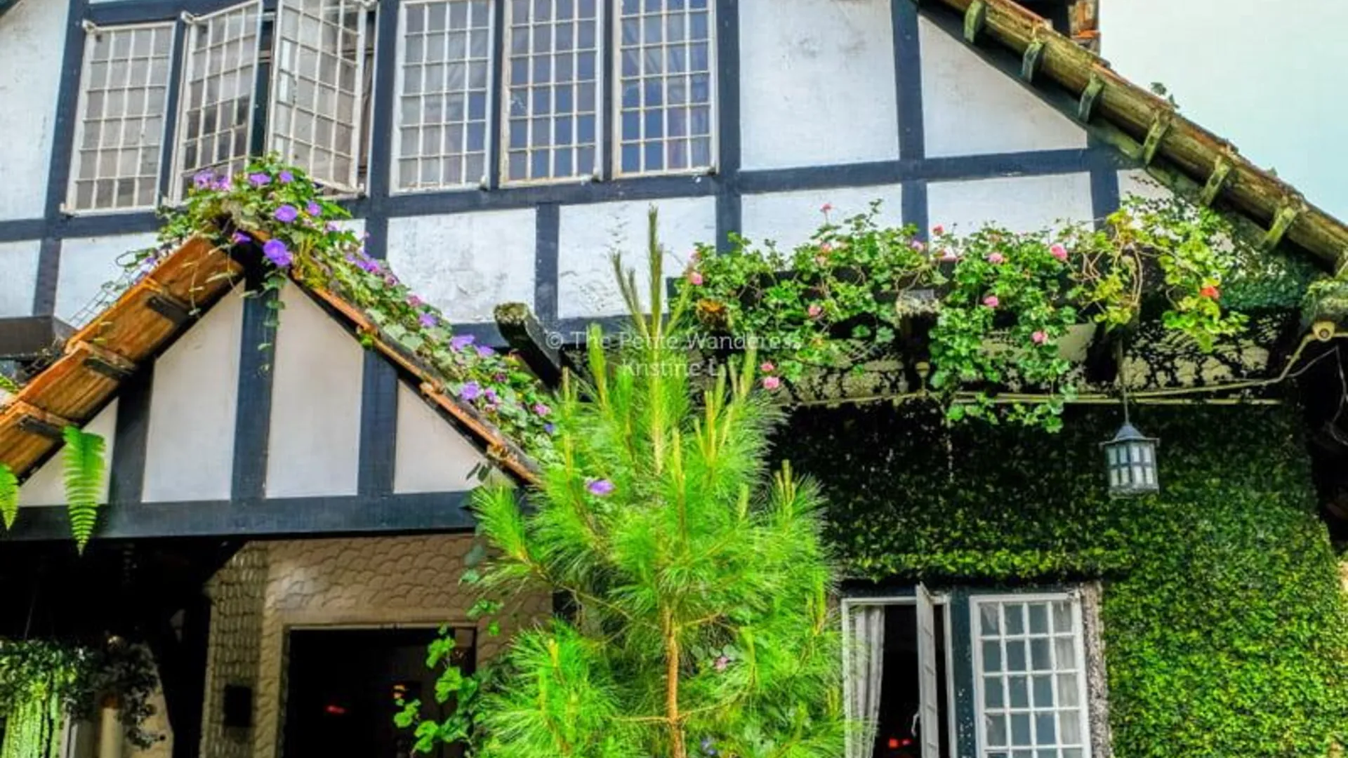 카메론 하일랜즈 타나 라타의 프라이빗 하우스 (823m², 침실 2개, 프라이빗 욕실 2개) 3성급 싱글룸 로비