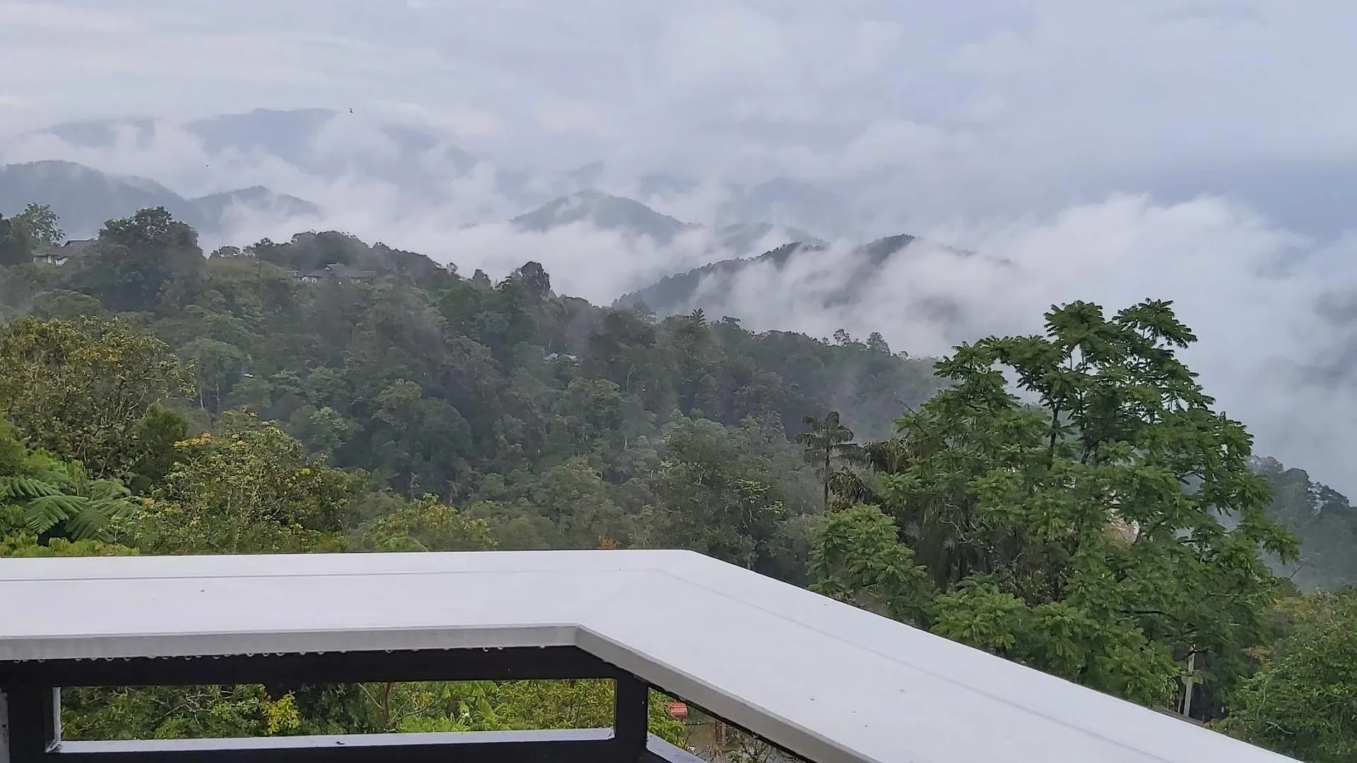 Bukit Fraser 프레저 힐의 아파트먼트 (60m², 침실 2개, 프라이빗 욕실 2개) 3성급 싱글룸 전망