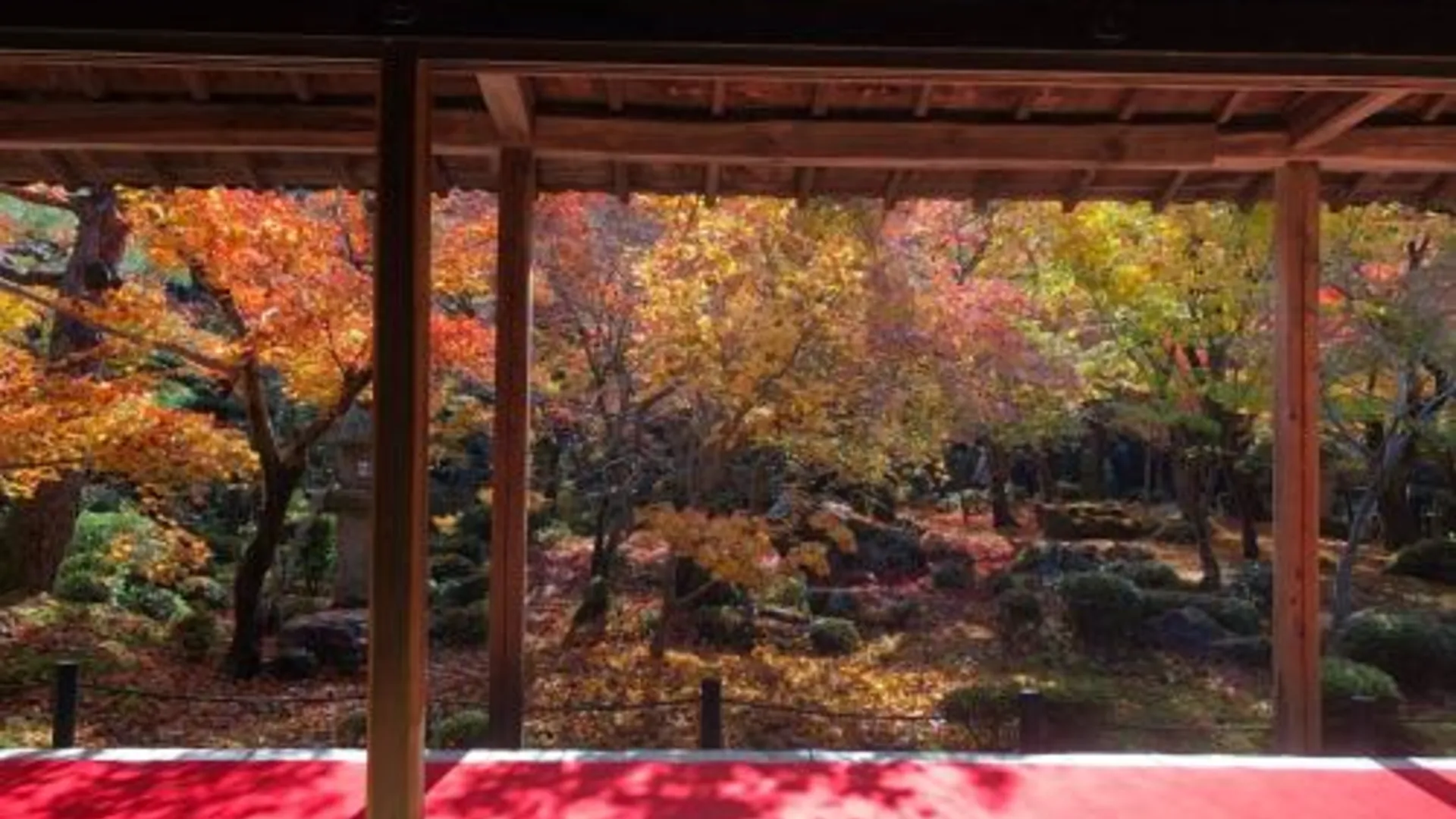 교토 교토 인 기온 3성급 호텔 전망