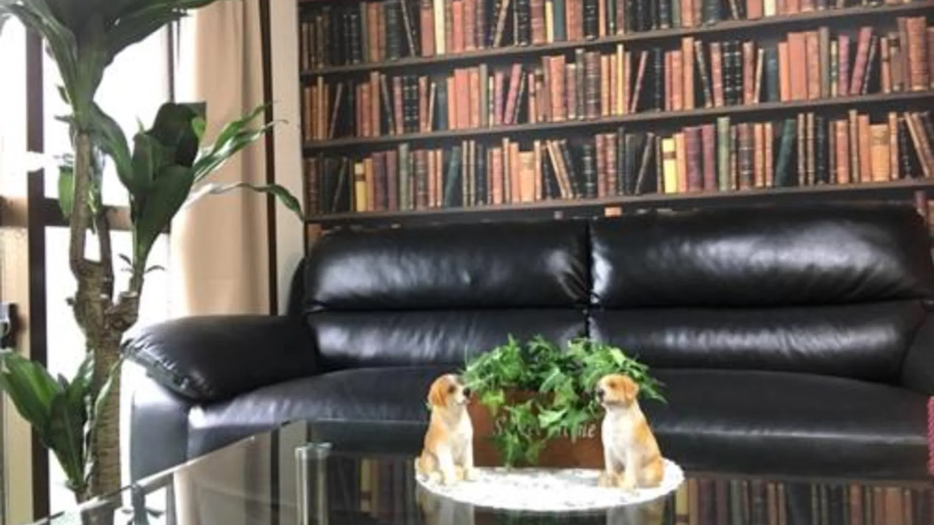 오키나와 본섬 Cozy Family room KY apartment 3성급 싱글룸 로비