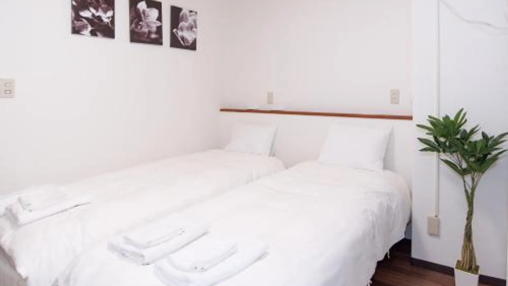 고베 Stay Kobe A 2성급 게스트하우스 객실