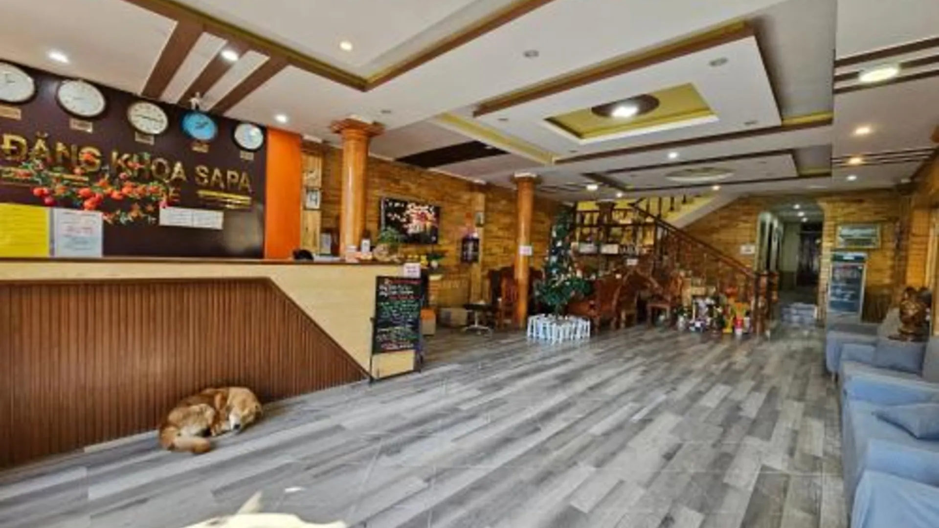 사파 당코아 가든 인 4성급 게스트하우스 로비