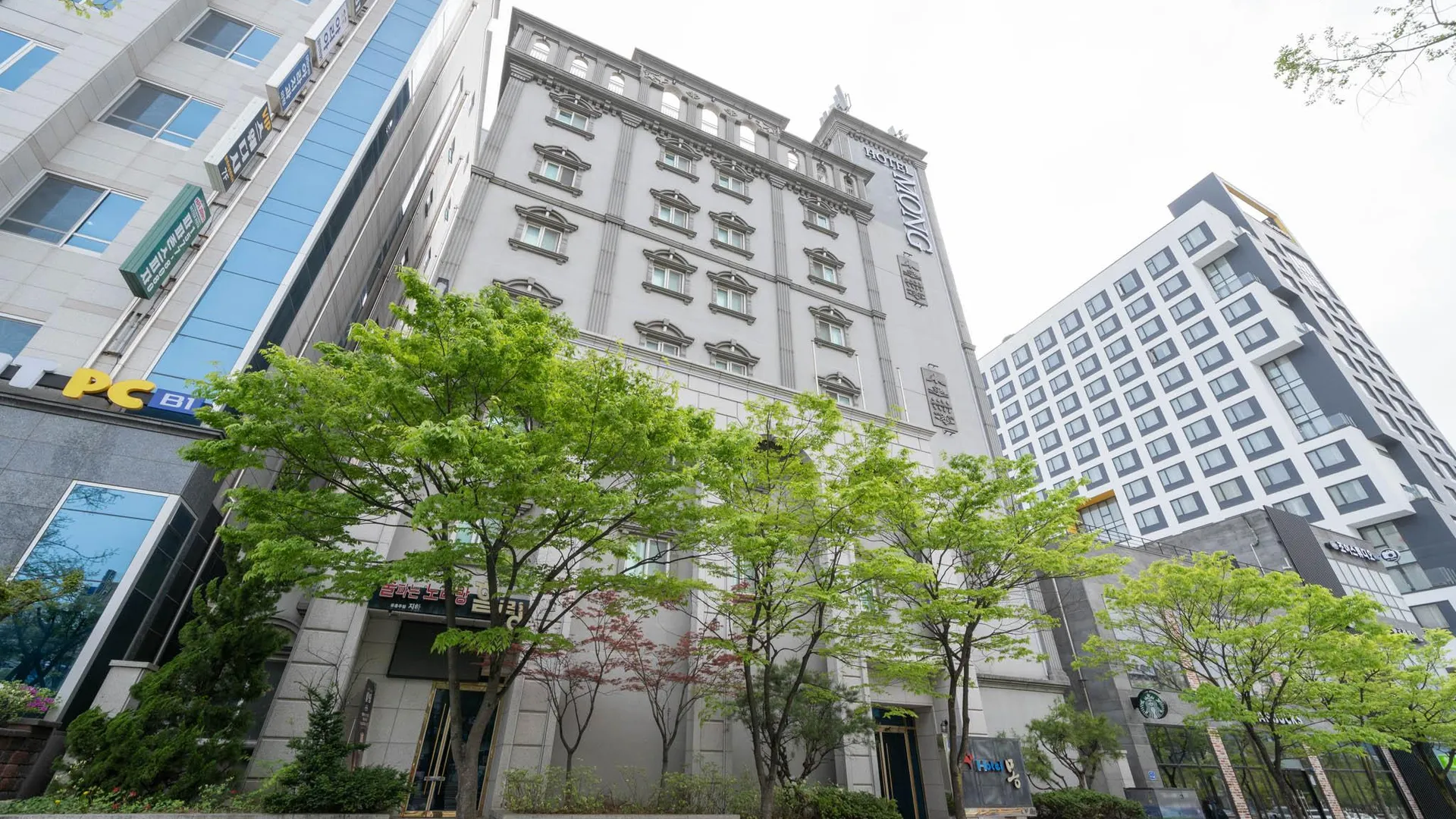 강릉 강릉 호텔몽 호텔 수영장