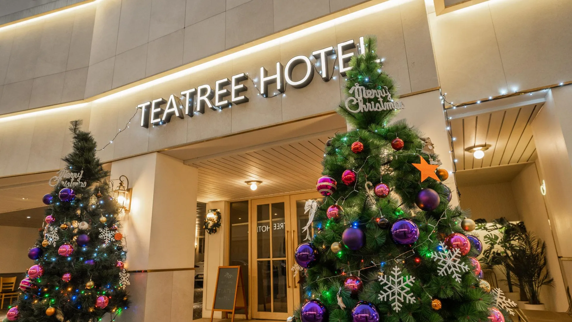 서울 티트리 호텔 2성급 호텔 로비