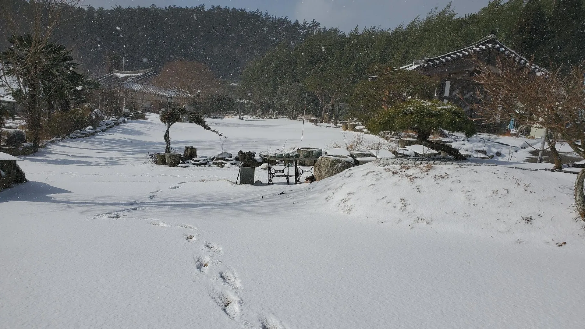 강진군 강진 다향소축민박 2성급 게스트하우스 객실