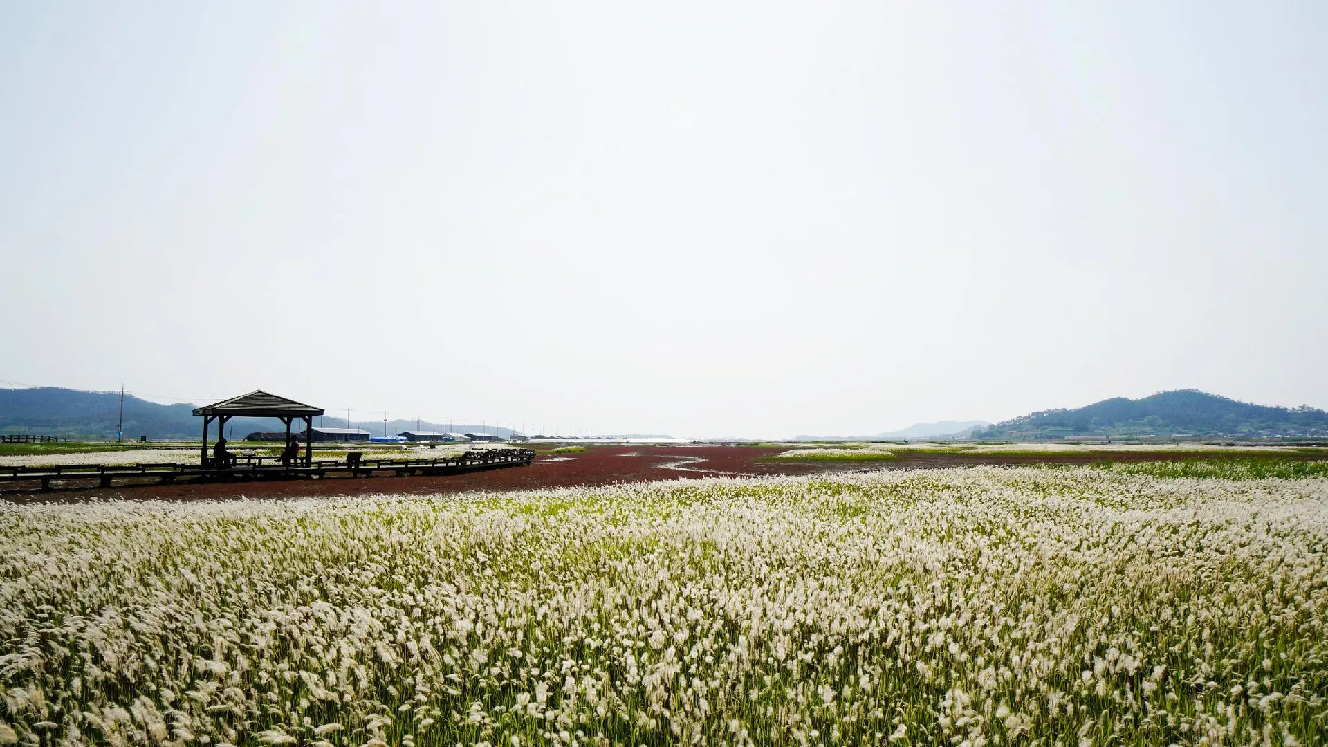 신안군 신안 천일염힐링캠프 카라반 2성급 게스트하우스 레스토랑