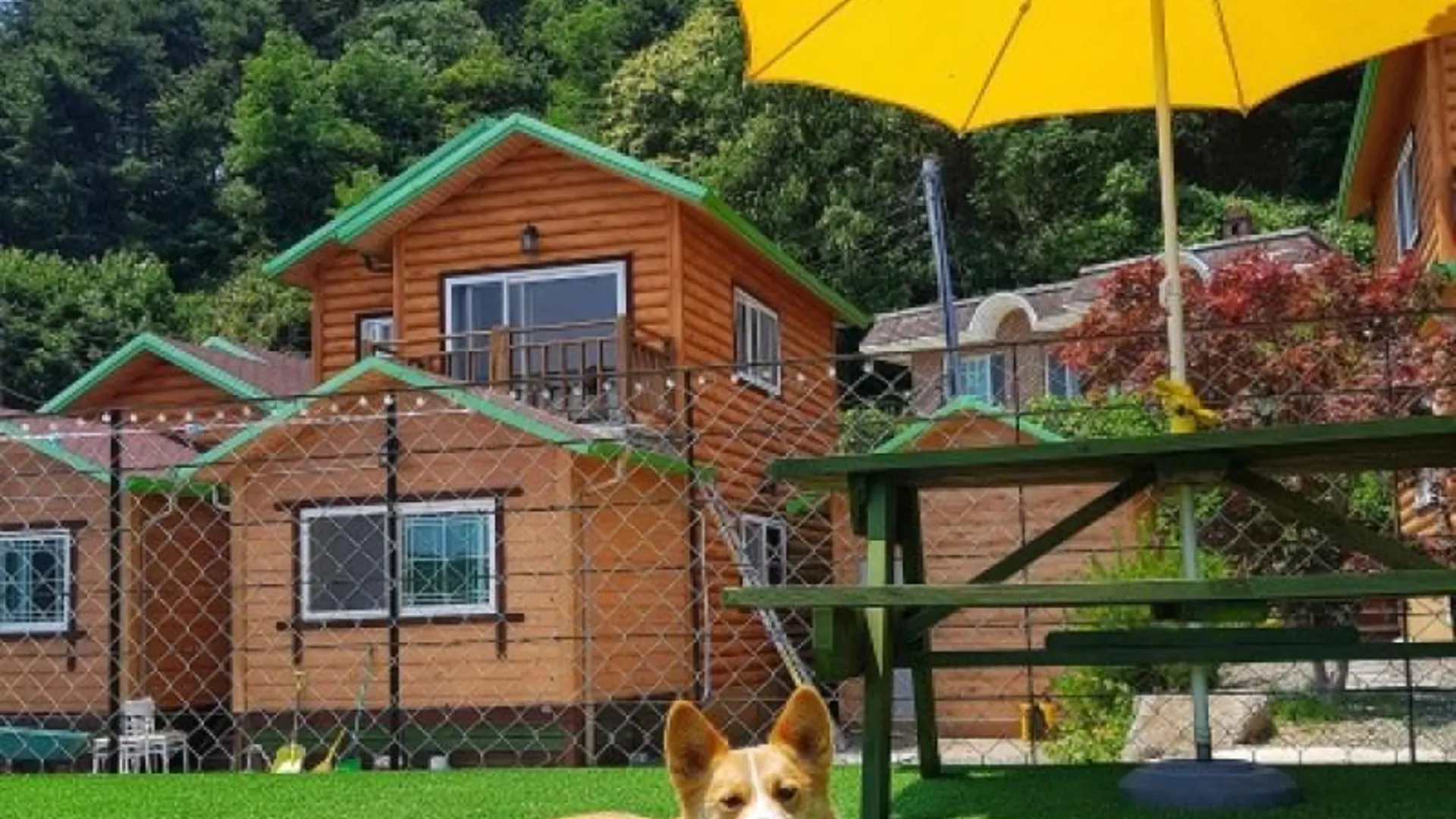 양양 양양 애견펜션강이네하우스 2성급 게스트하우스 전망