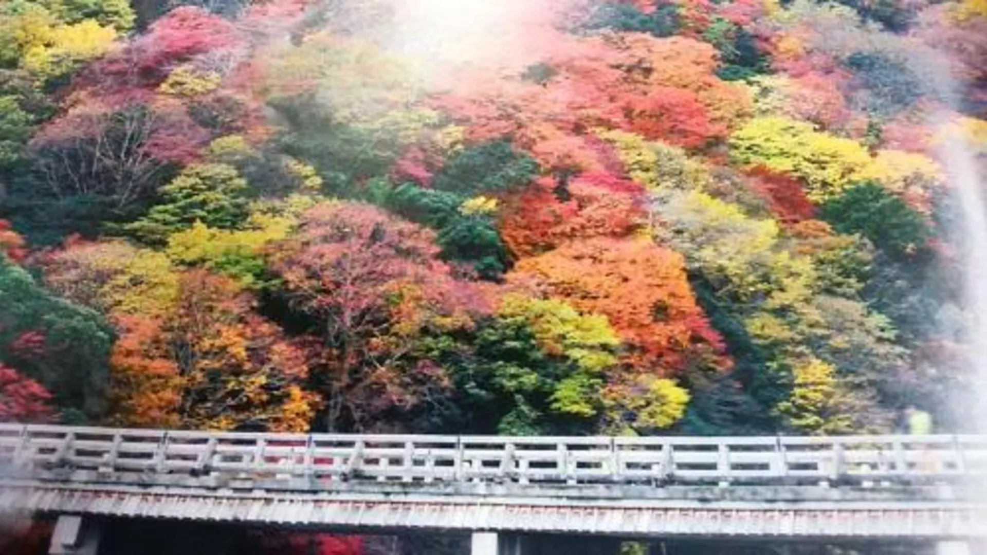 교토 후루사토노 이에 2성급 호텔 부대시설