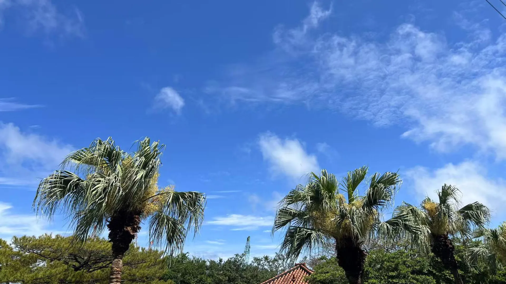 오키나와 본섬 호텔 갈라 3성급 호텔 객실