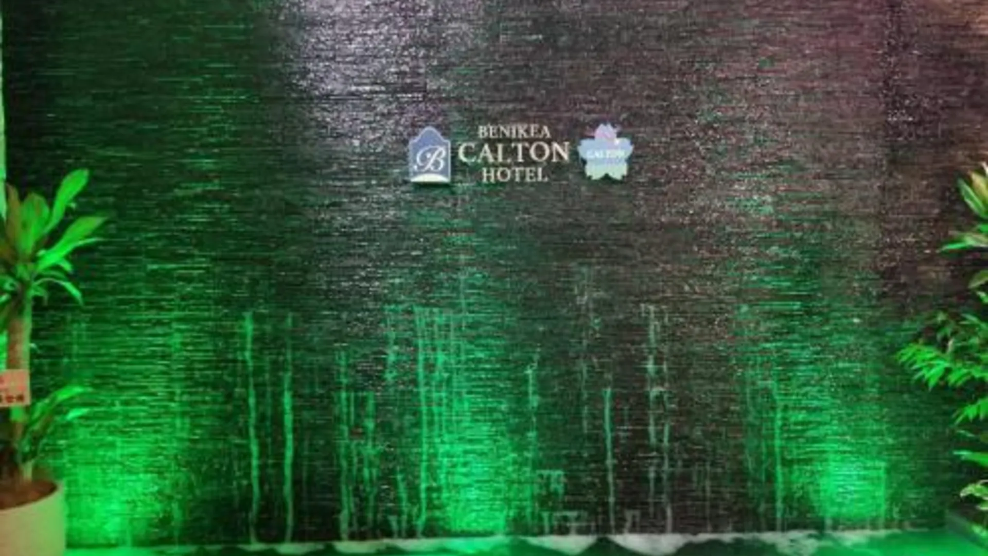 오사카 베니키아 칼튼 호텔 오사카 도톤보리 3성급 호텔 부대시설