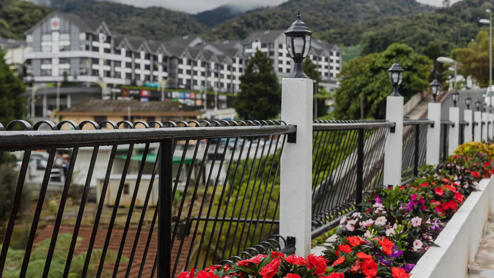 카메론 하일랜즈 스프링힐 리조트 4성급 호텔 전망