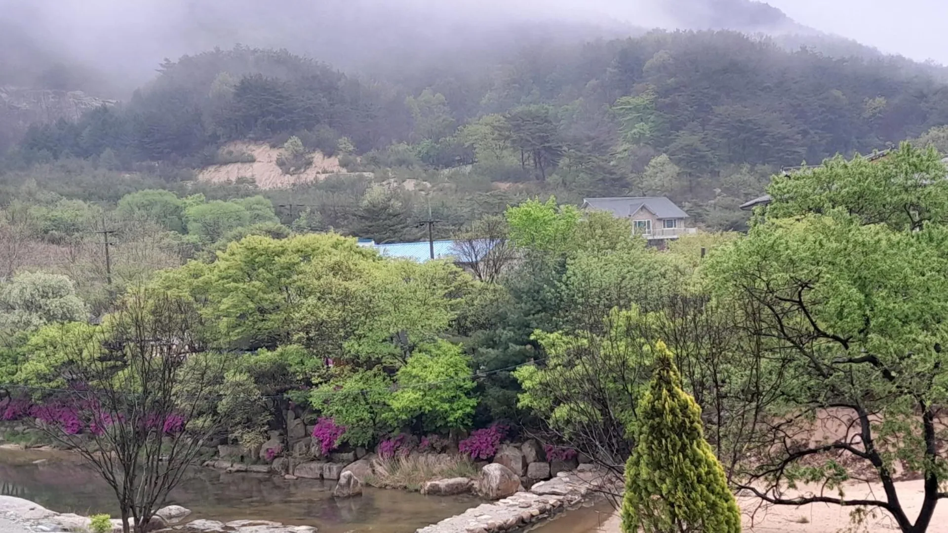 상주 상주 자연속으로나를찾아서펜션 2성급 게스트하우스 전망