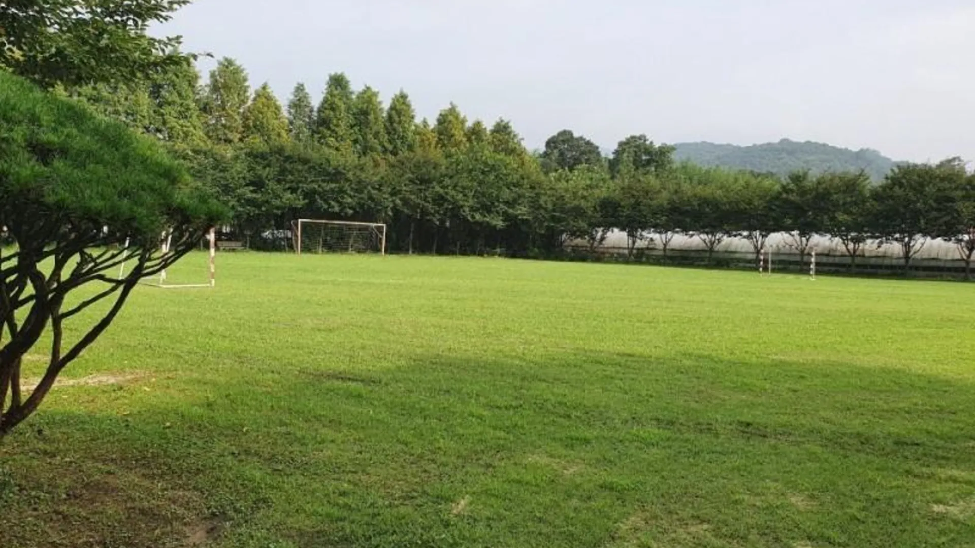 담양 담양 파라다이스펜션 3성급 게스트하우스 레스토랑