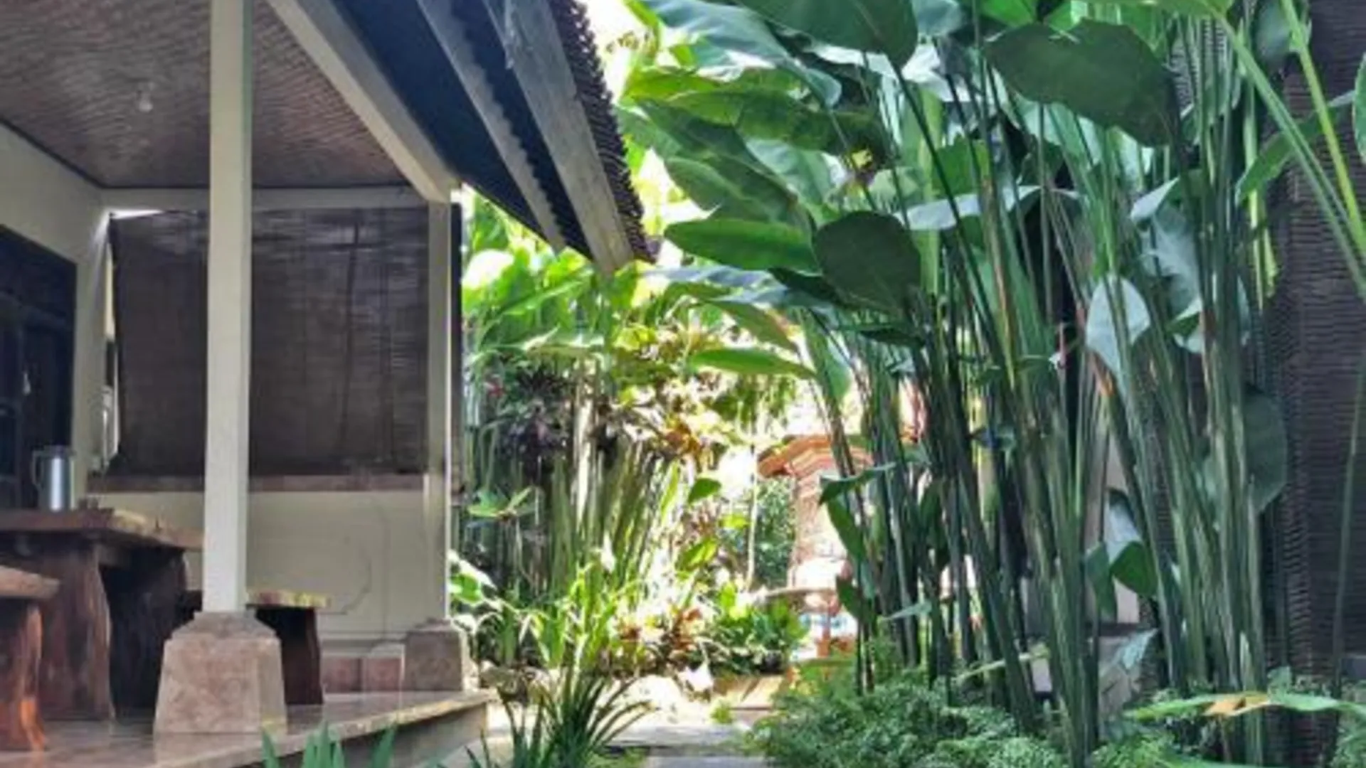 발리 Umah Belos 2성급 게스트하우스 객실