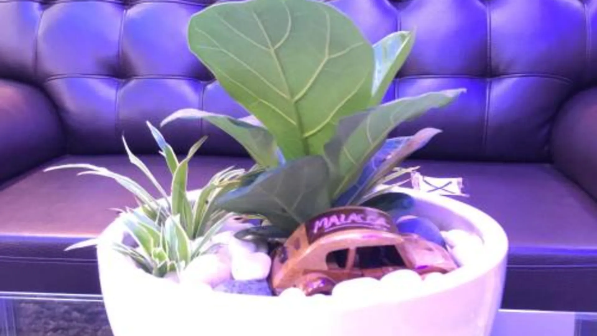 말라카 CK 호텔 1성급 호텔 부대시설