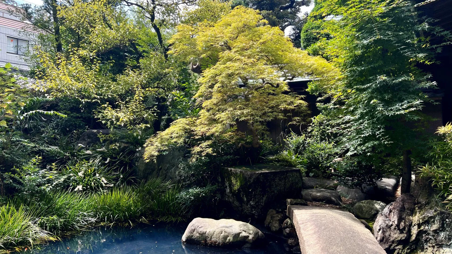 도쿄 / 동경 신주쿠 선파크 호텔 4성급 호텔 레스토랑