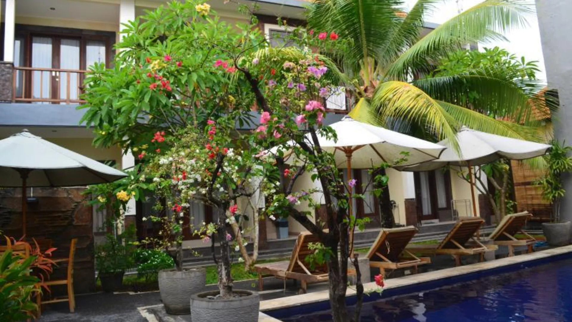 발리 다부미토 게스트하우스 2성급 호텔 객실