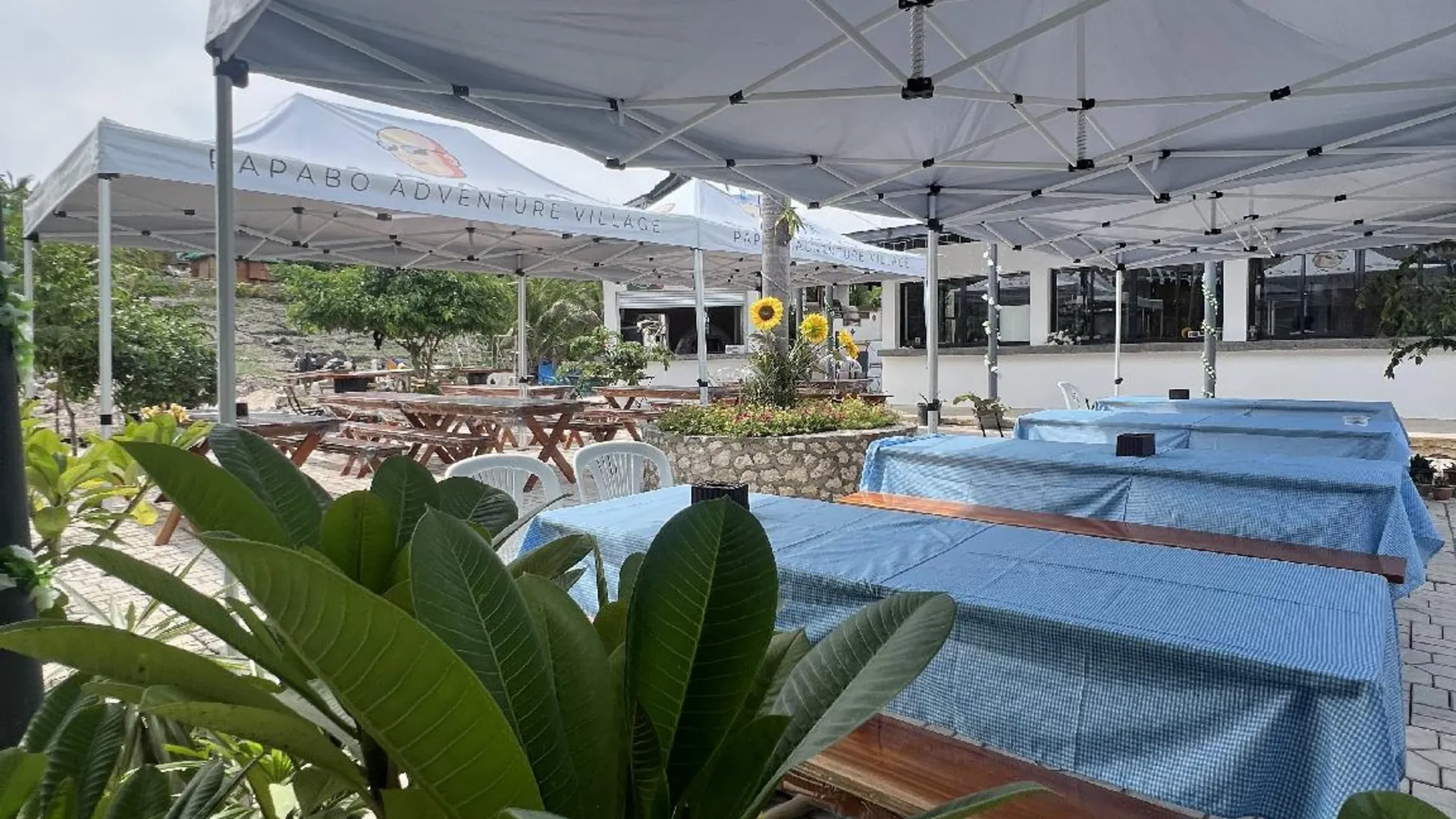 세부 파파보 어드벤처 빌리지 4성급 게스트하우스 수영장