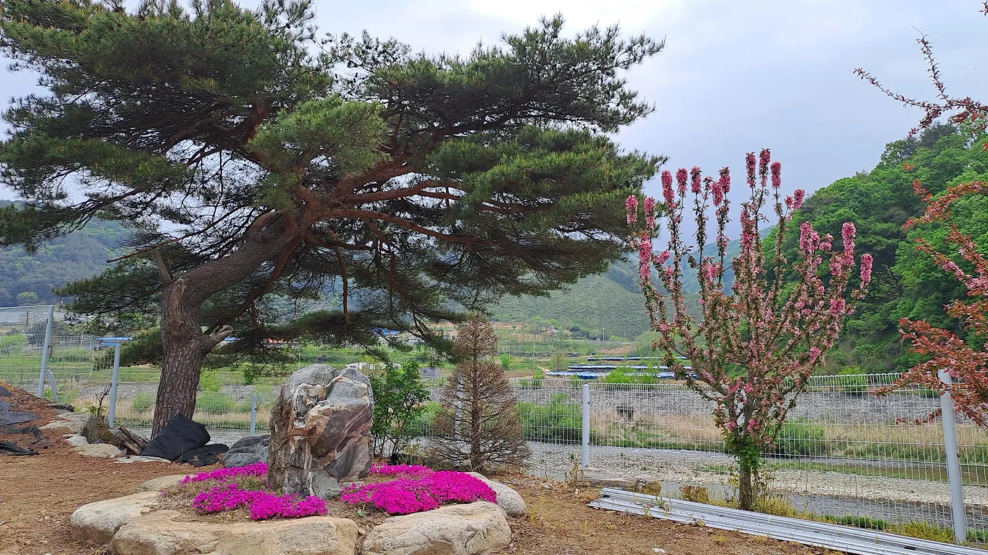 인제 인제 용늪펜션 1성급 게스트하우스 외관