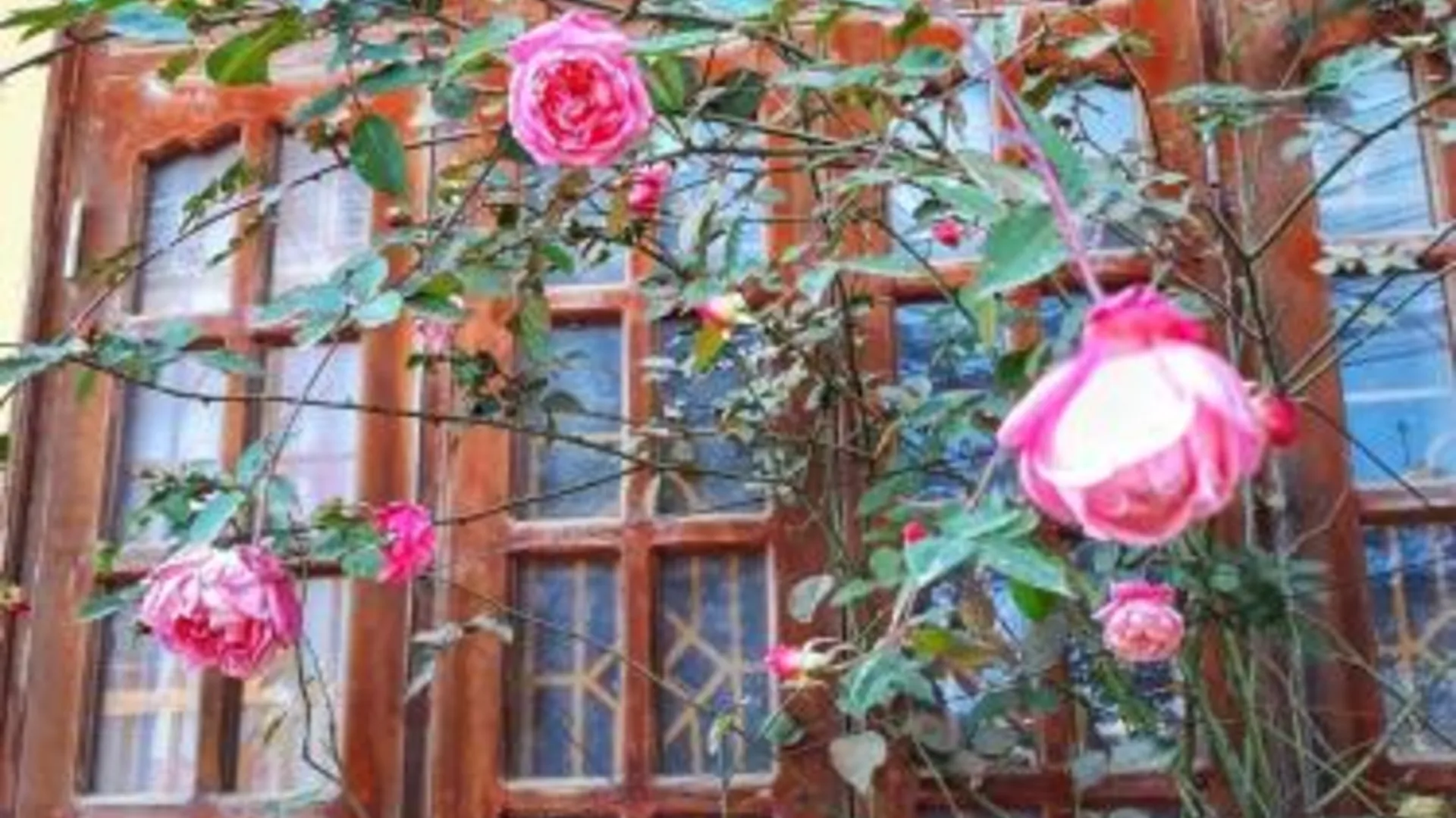 사파 Thanh Ha Homestay Sapa 4성급 호텔 스위트룸