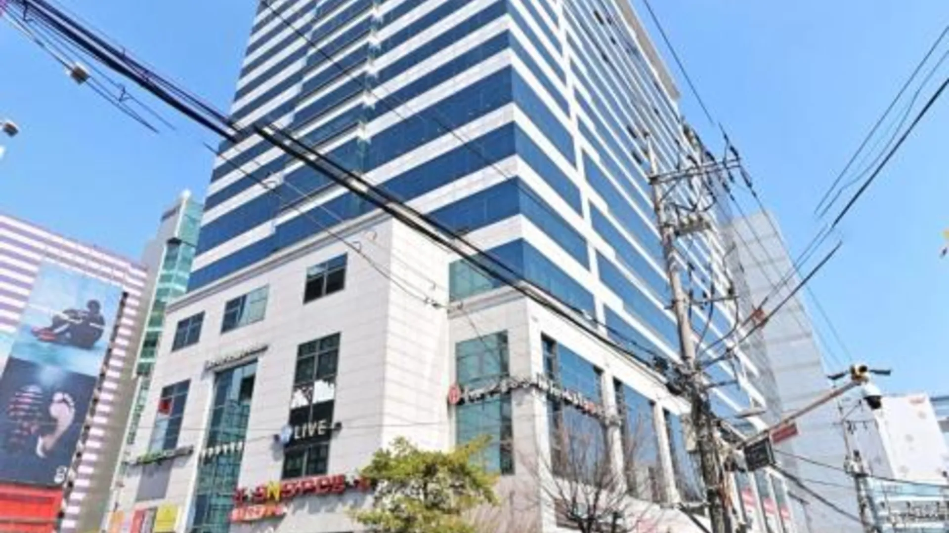 서울 홍대 링크 하우스 30초 3성급 게스트하우스 수영장