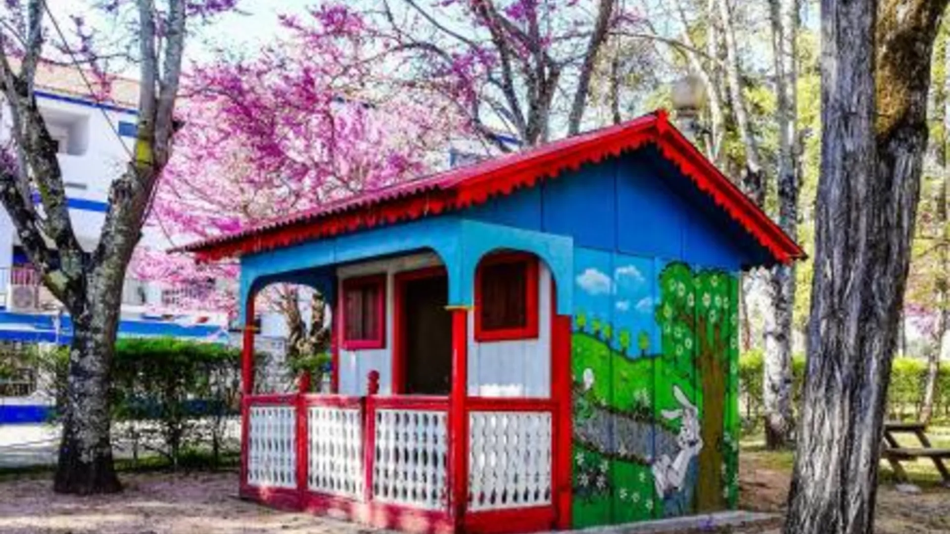 카베코 데 비데 Termas da Sulfurea 3성급 호텔 부대시설