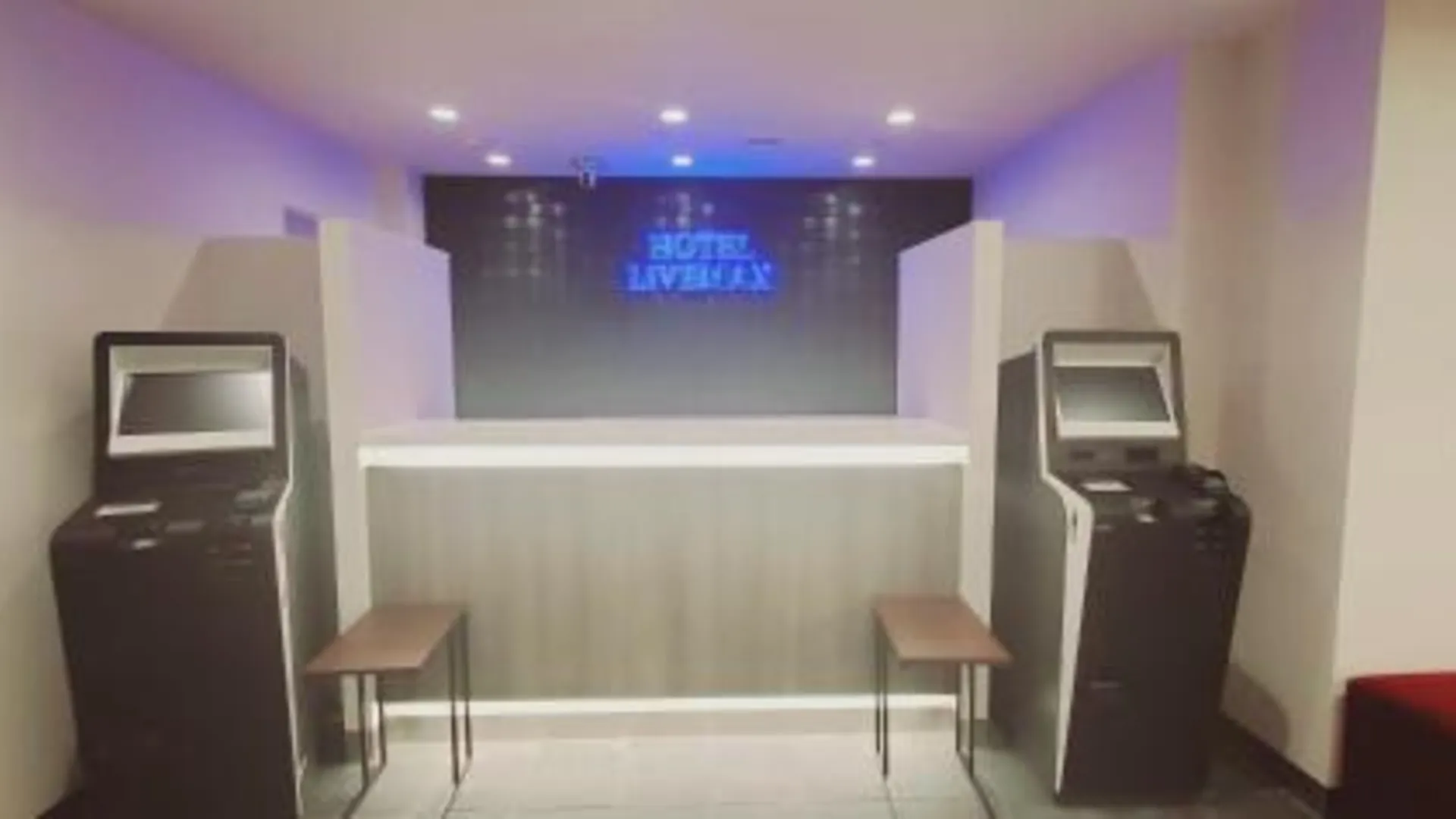 도쿄 / 동경 호텔 라이브맥스 카마타 에키마에 3성급 호텔 전망