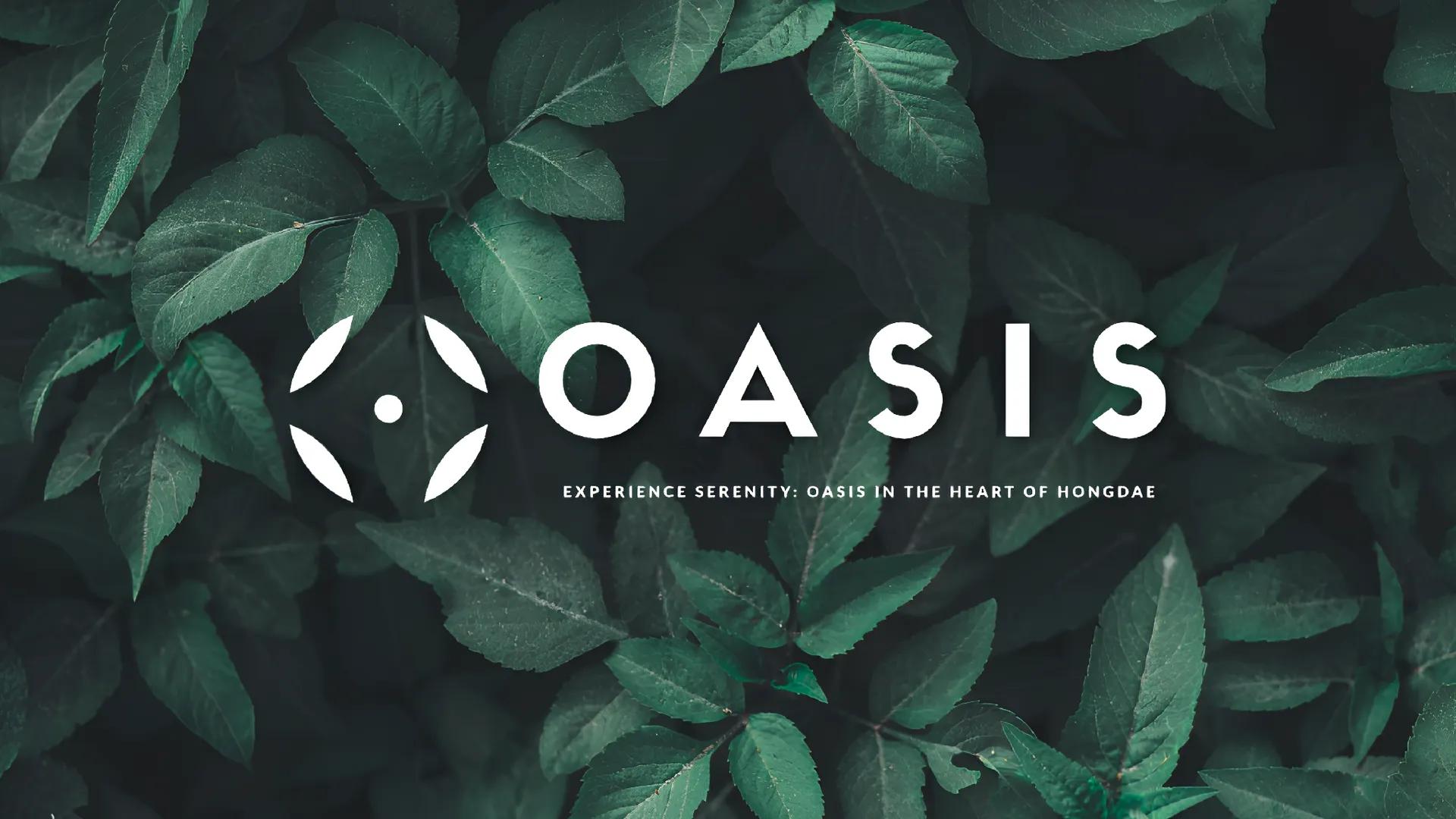 서울 신촌의 빌라 (27m², 침실 1개, 프라이빗 욕실 1개) 3성급 싱글룸 부대시설