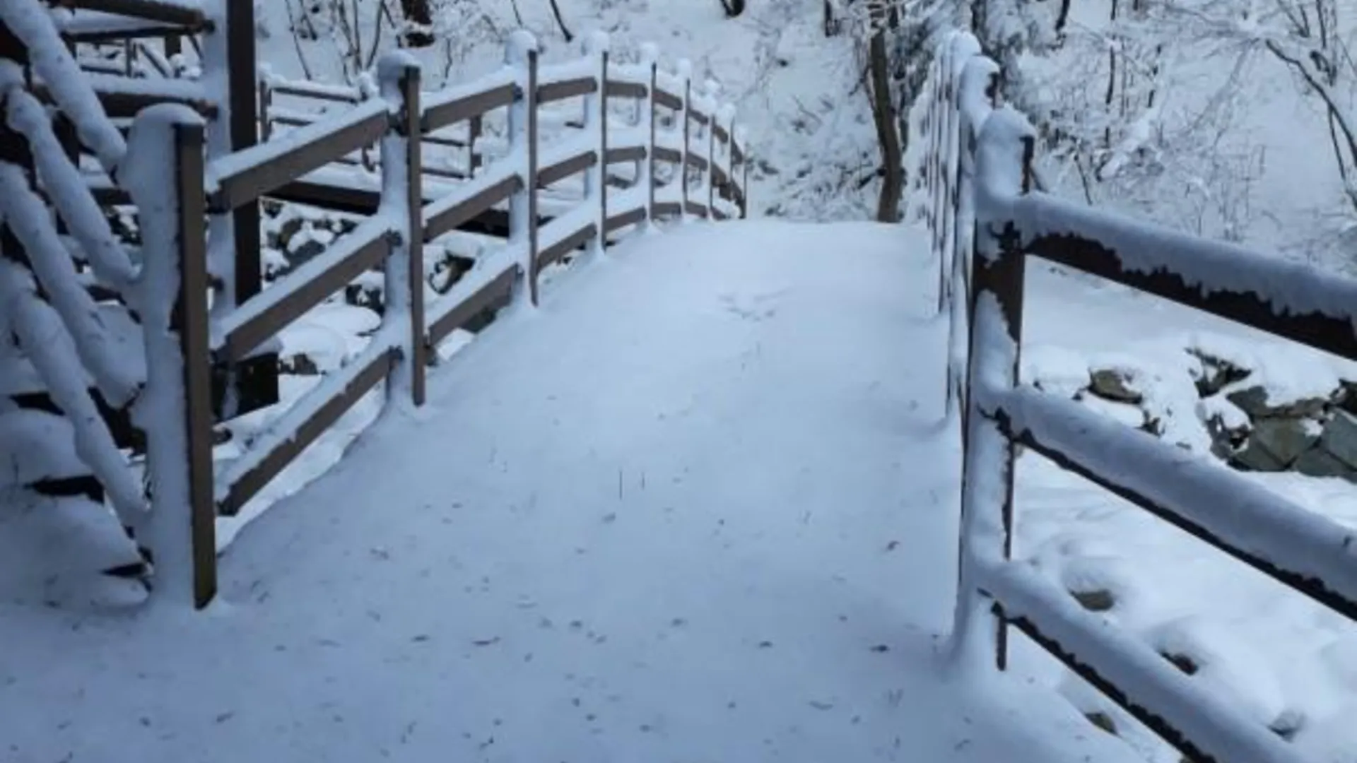 전주 장성 숲향펜션 2성급 게스트하우스 객실