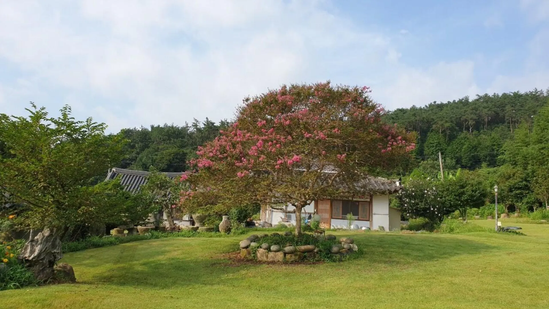 강진군 강진 다향소축민박 2성급 게스트하우스 수영장