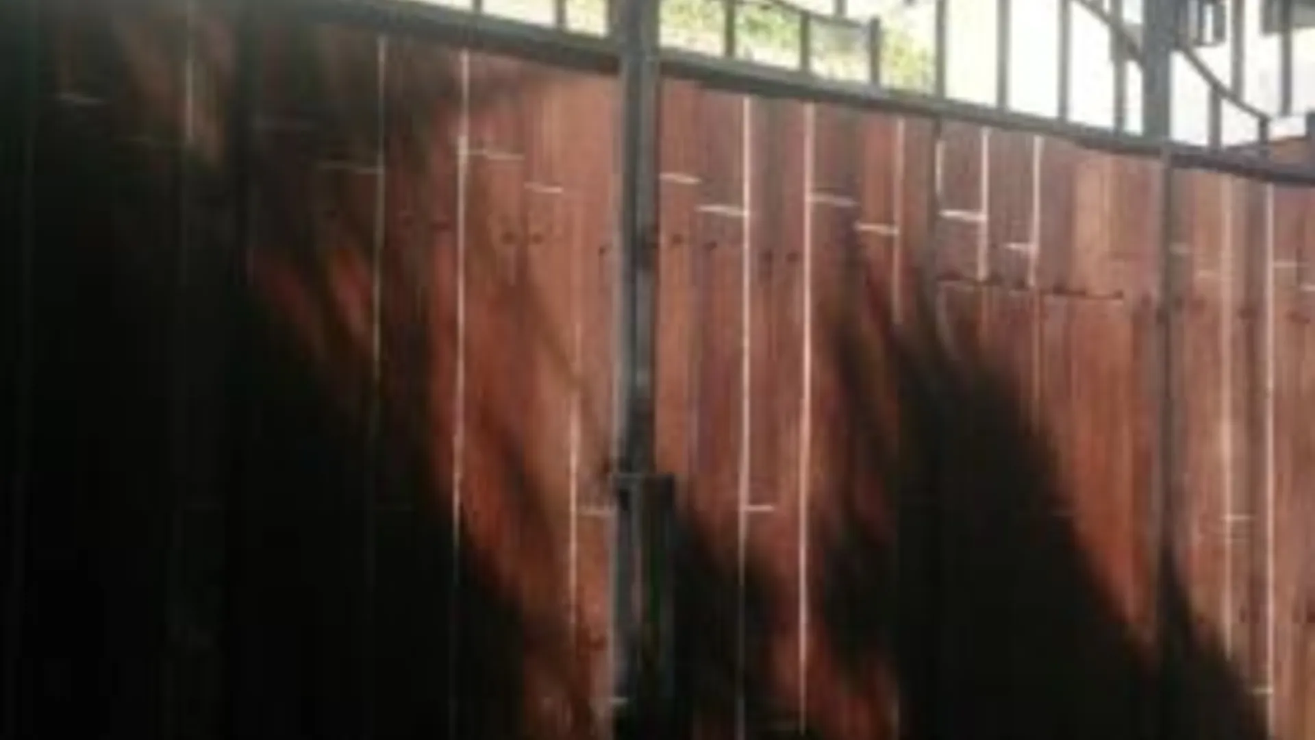 발리 Umah Bagus 3성급 호텔 전망