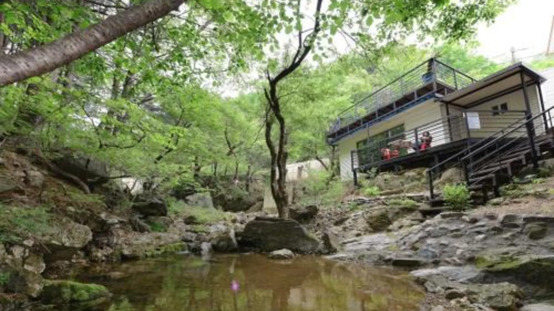 가평 숲속 다람쥐 펜션 3성급 게스트하우스 부대시설