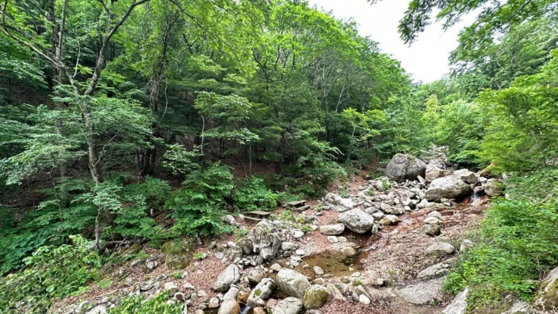 양양 양양 안변펜션 1성급 게스트하우스 수영장