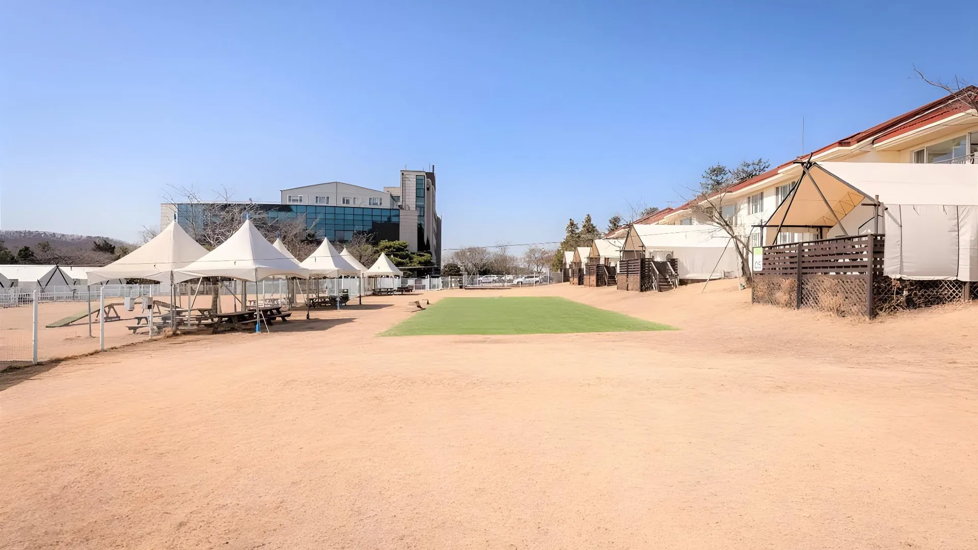 용인 골드 펫 리조트 3성급 게스트하우스 로비