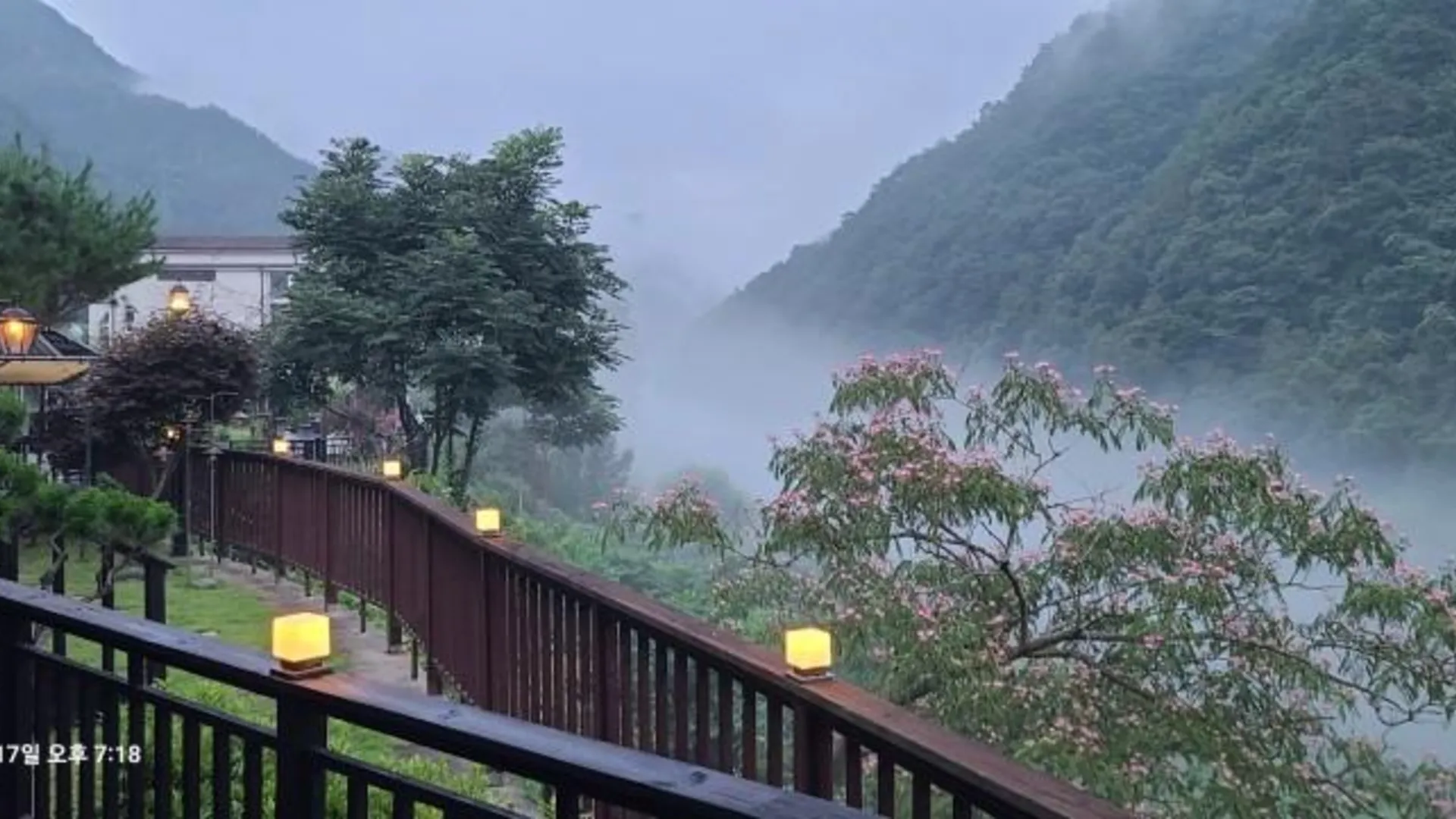 인제 인제 노을이머무는곳펜션 2성급 게스트하우스 레스토랑