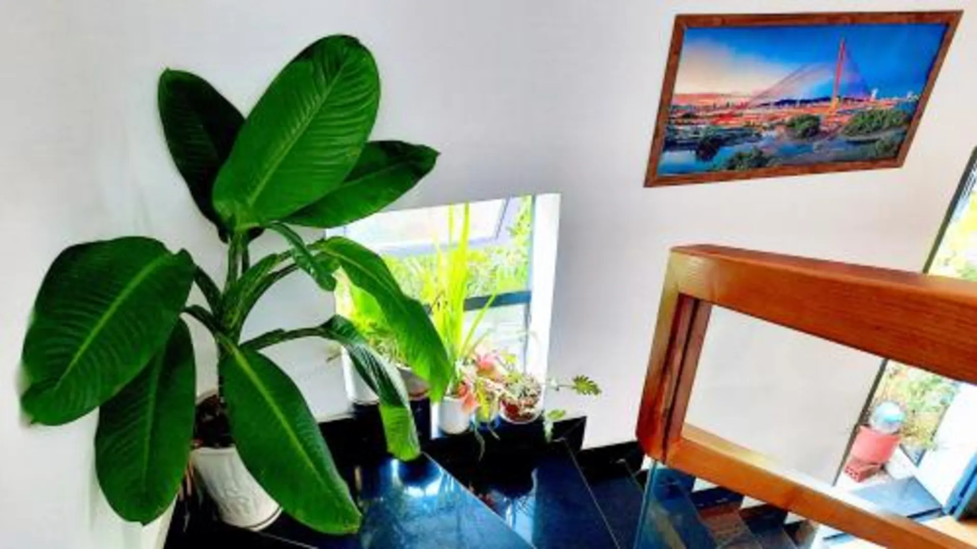 다낭 푸옥미의 프라이빗 하우스 (17m², 침실 1개, 프라이빗 욕실 1개) 5성급 게스트하우스 부대시설