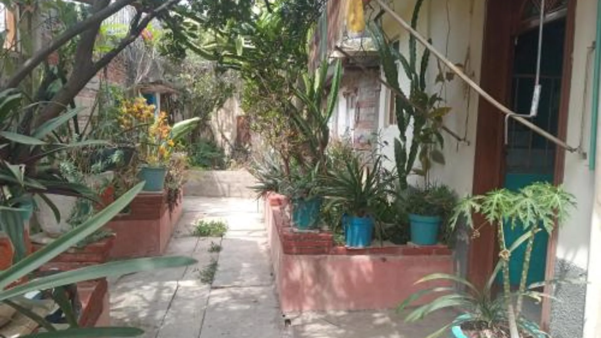 오악사카 casa los patos 1성급 싱글룸 객실