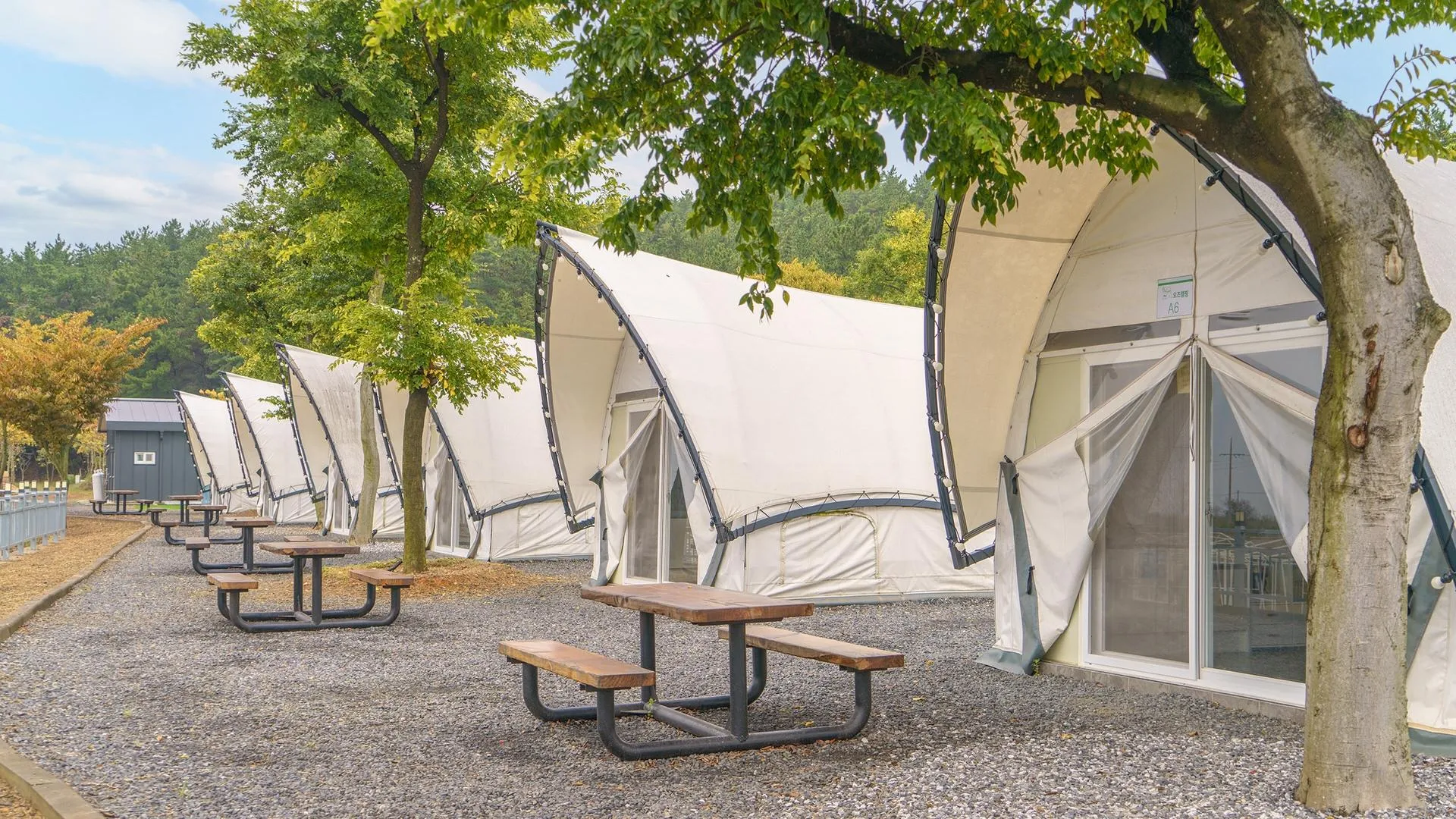 보령 보령 오즈캠핑 글램핑 펜션 2성급 게스트하우스 수영장